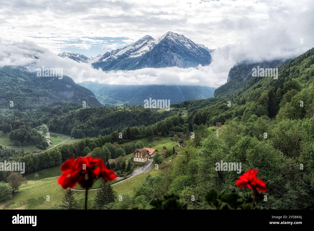 Montagnes alpines dans l'Oberland bernois Banque D'Images