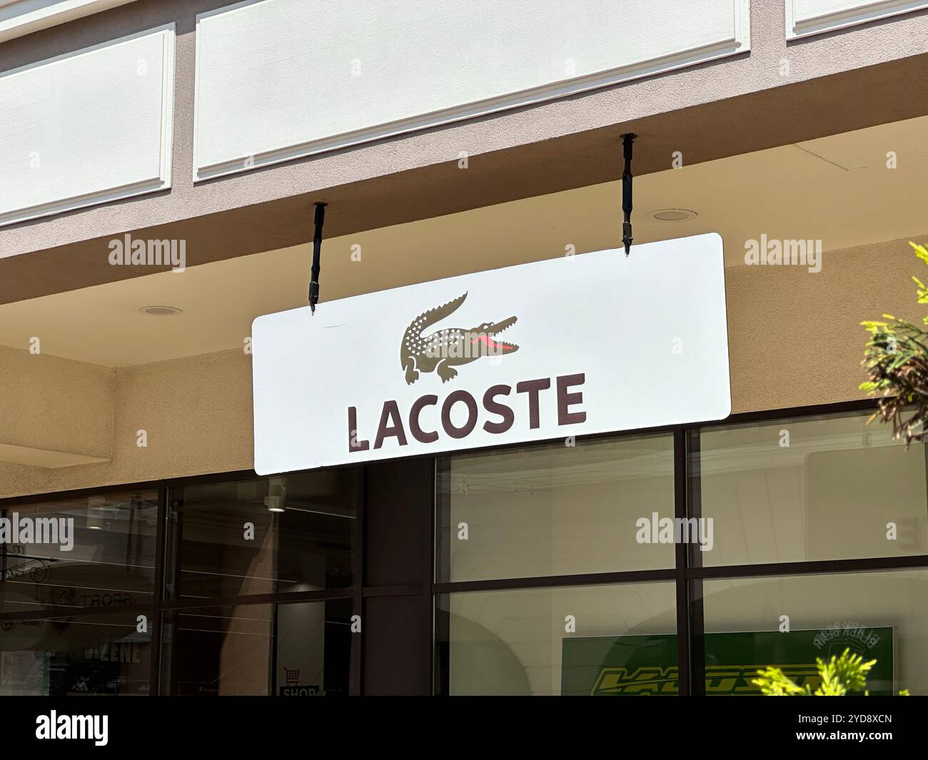 Belgrade, Serbie - 16 juin 2024 : vue rapprochée du logo Lacoste avec un crocodile sur une enseigne de magasin, un symbole renommé dans l'industrie de la mode Banque D'Images