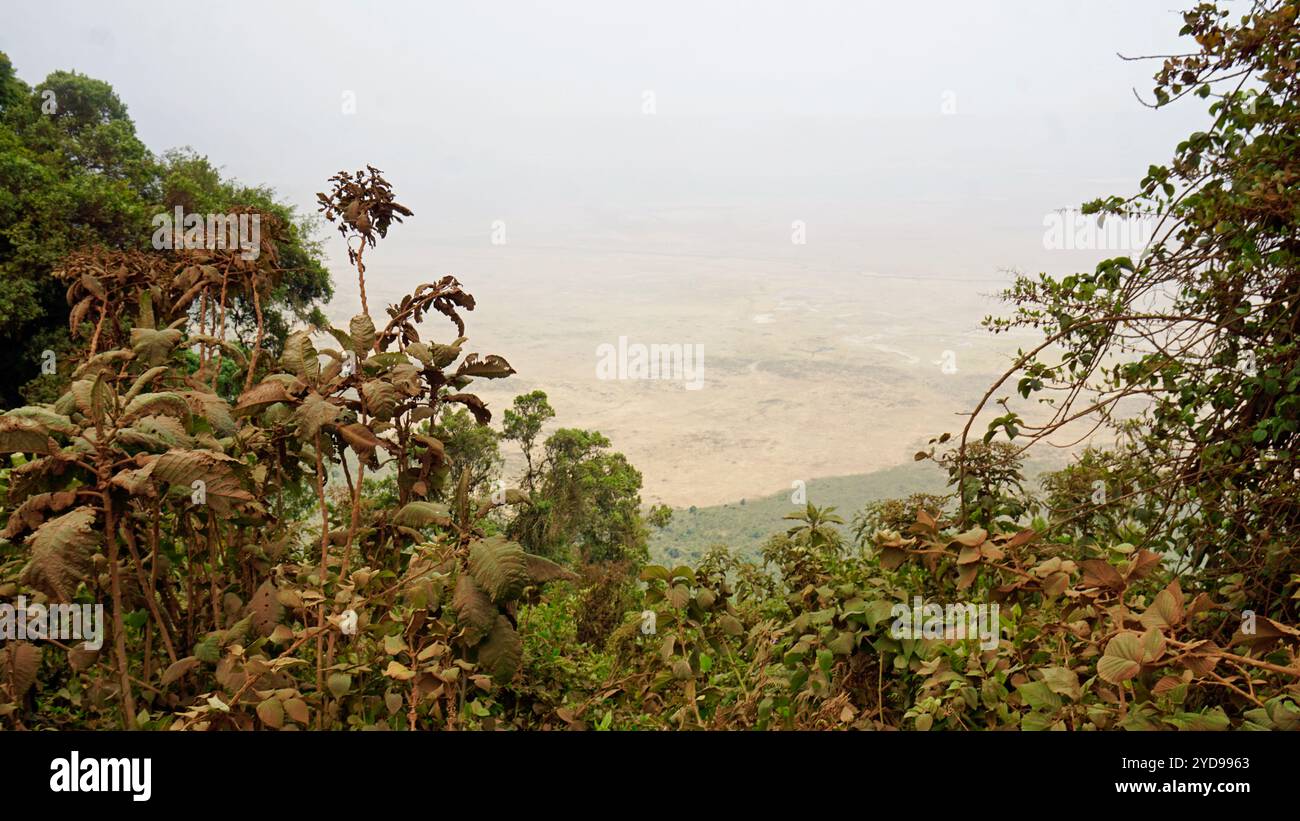 paysage pittoresque au cratère ngorongoro en tanzanie Banque D'Images