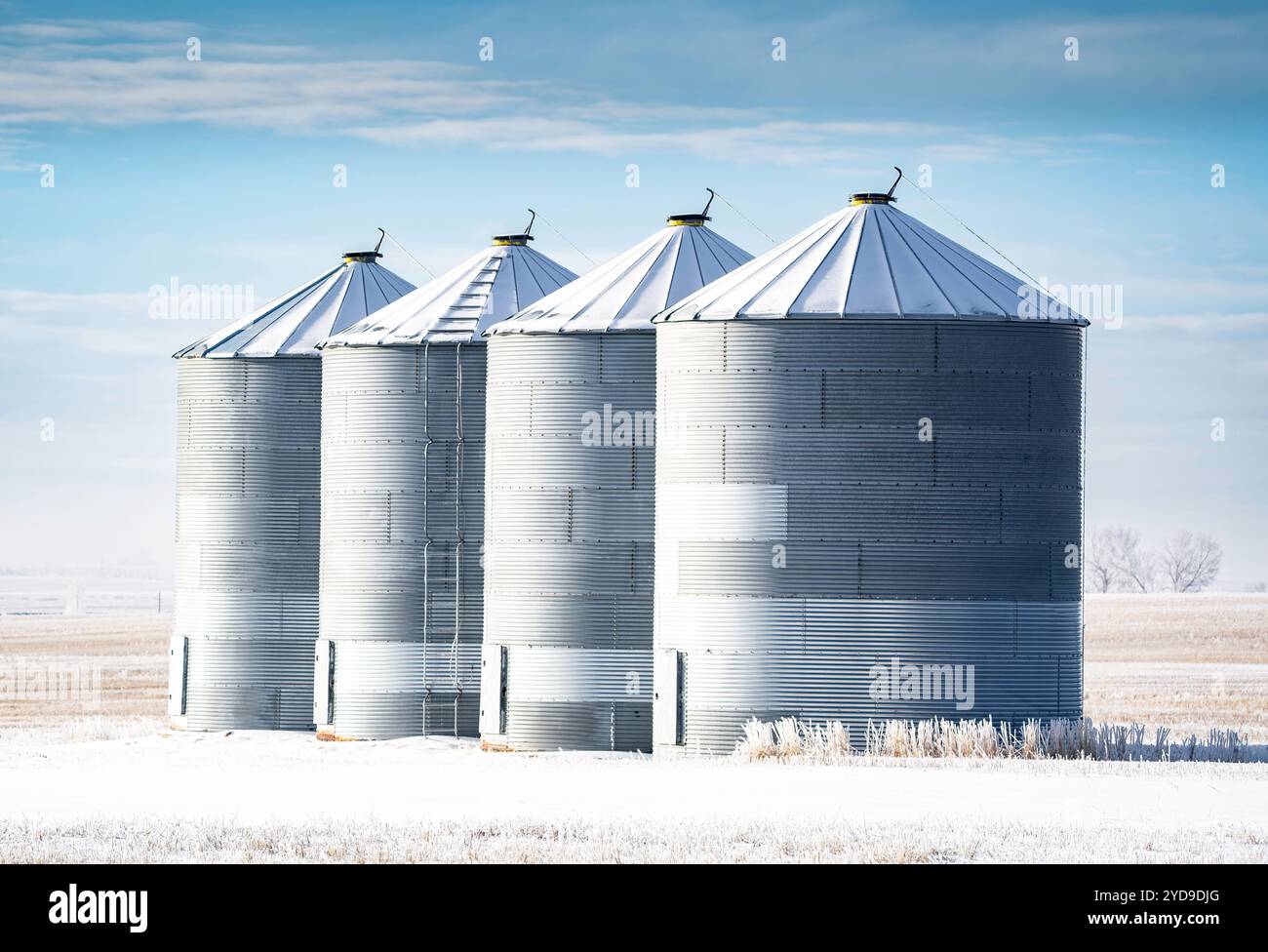 Silos à grains recouverts de neige debout en une rangée pendant l'hiver dans le comté de Rocky View Alberta Canada. Banque D'Images
