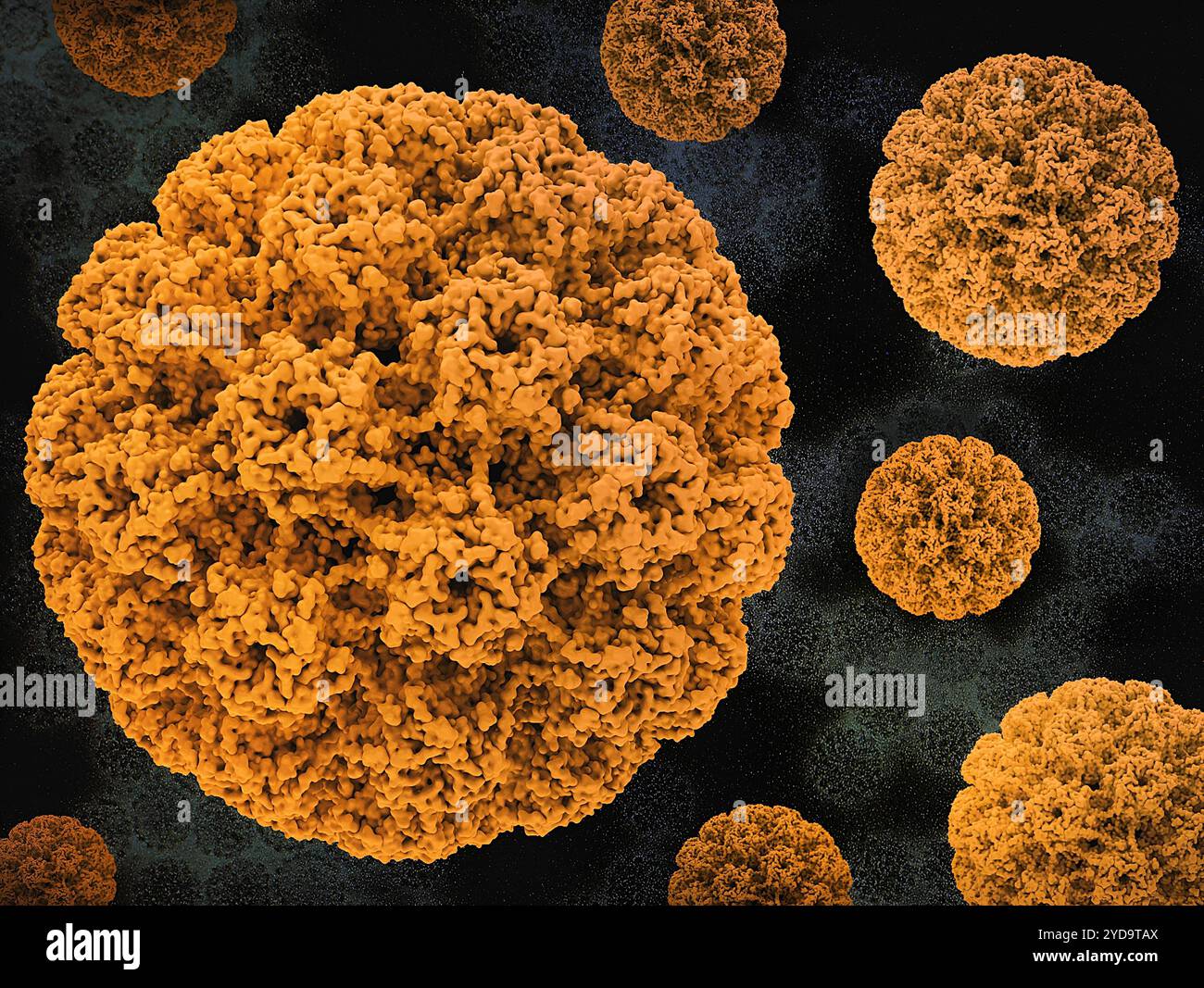Rendus 3D de l'or capside du papillomavirus humain HPV sur une image de fond qui est une micrographie électronique à transmission inversée des particules du virus HPV récoltées et purifiées à partir du surnageant de culture cellulaire. L'infection par le VPH peut être asymptomatique, causer des verrues ou perturber la croissance cellulaire. En de rares occasions, la croissance cellulaire devient incontrôlée, causant le cancer. Environ 5 % des cancers dans le monde sont causés par le VPH. Papillomavirus humain HPV 016867_286 Banque D'Images