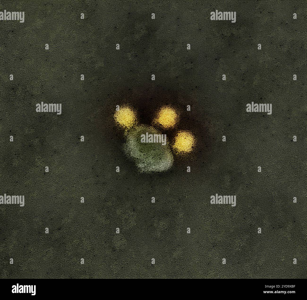 Micrographie électronique à transmission colorisée des particules du virus Zika colorées en négatif en jaune. Particules du virus Zika 016867_506 Banque D'Images