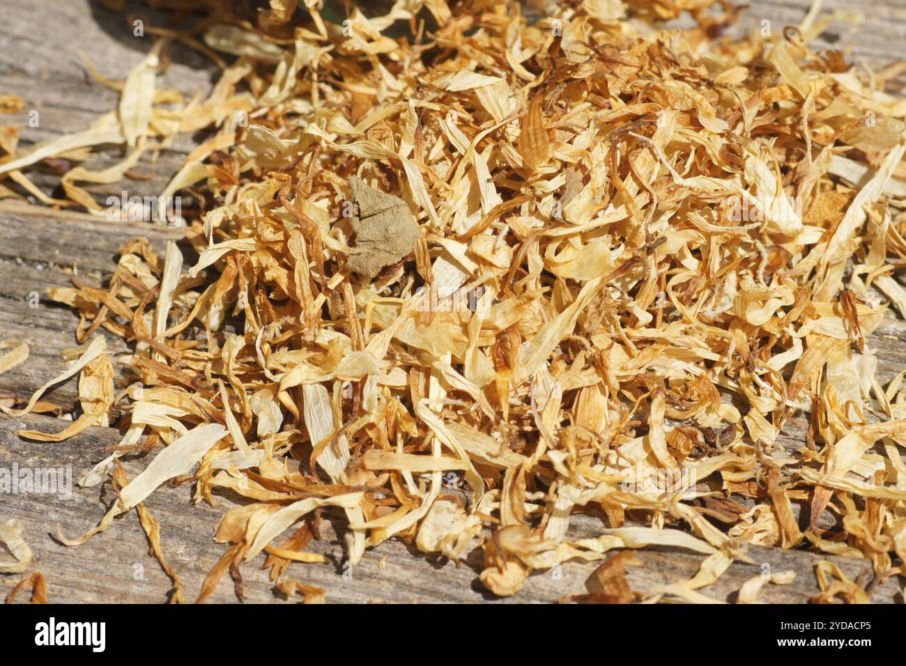 Hypericum perforatum, produit Johns Wort Banque D'Images