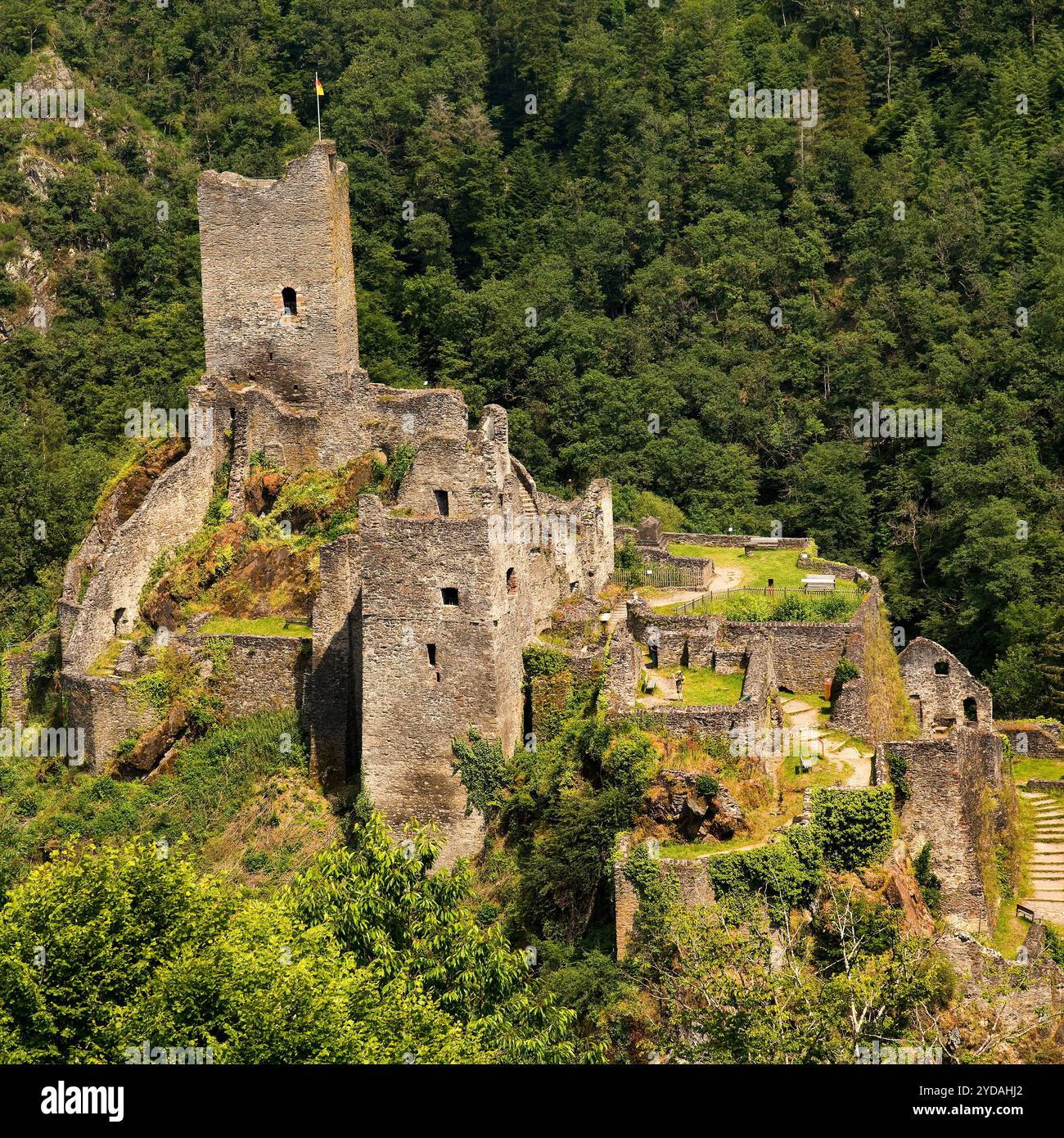Les ruines du comte Niederburg Manderscheid, Eifel, Rhénanie-Palatinat, Allemagne, Europe Banque D'Images