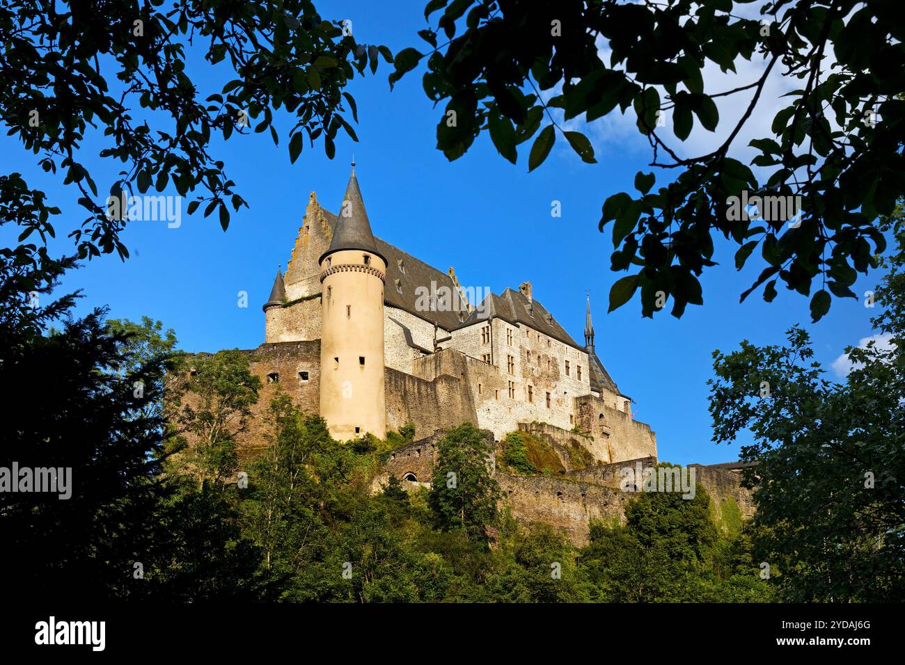 Burg Vianden, Hoehenburg ueber der Stadt, Vianden, Grossherzugtum Luxemburg, Europa Banque D'Images