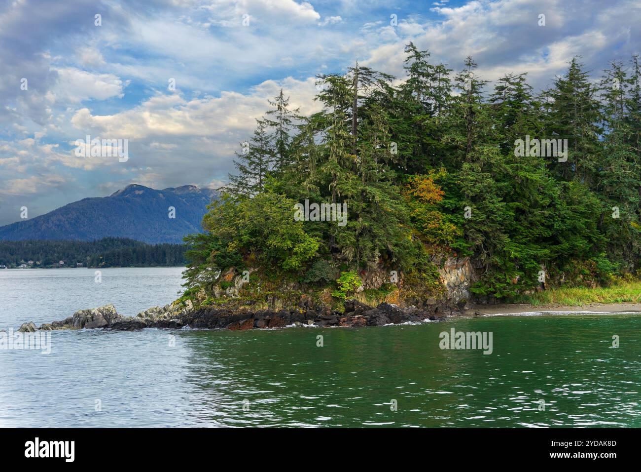 Petit paysage insulaire avec des épinettes dans Auke Bay près de Juneau, Alaska Banque D'Images