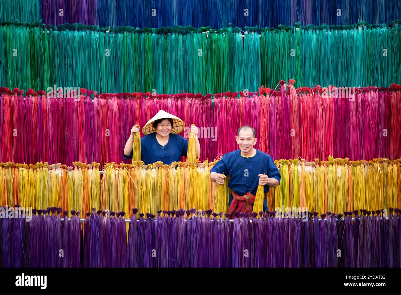 Traitement des arbres de lin en différentes couleurs pour être tissés en nattes. Banque D'Images