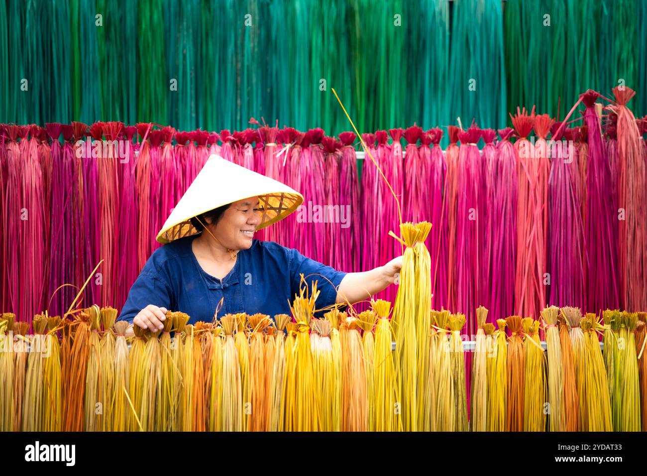 Traitement des arbres de lin en différentes couleurs pour être tissés en nattes. Banque D'Images