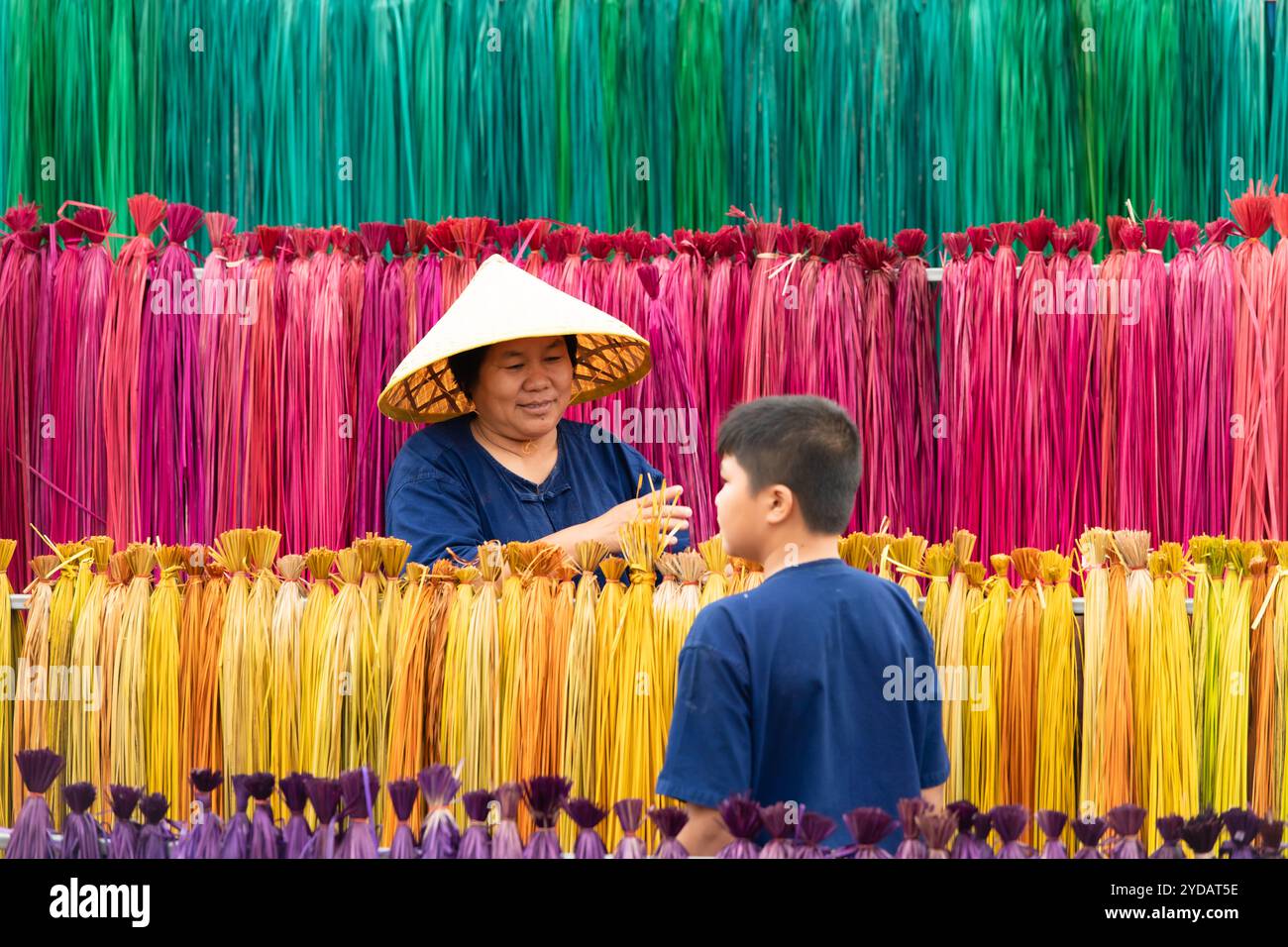 Traitement des arbres de lin en différentes couleurs pour être tissés en nattes. Banque D'Images