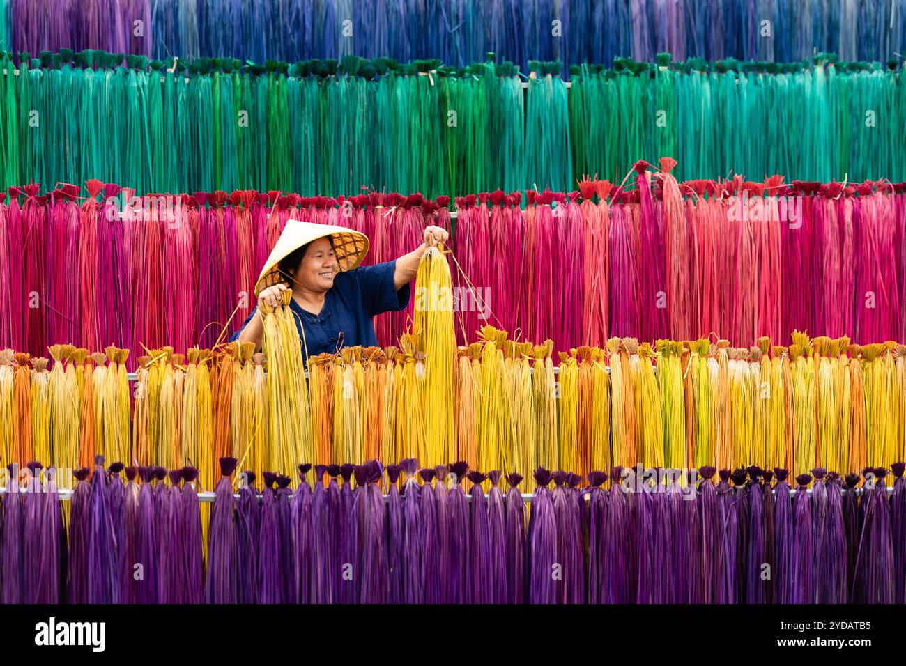 Traitement des arbres de lin en différentes couleurs pour être tissés en nattes. Banque D'Images