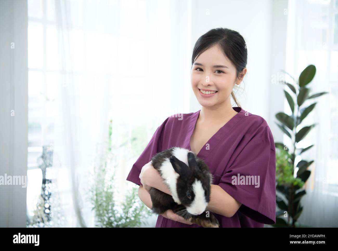 Vétérinaire traitant les lapins malades il donne aux jeunes lapins l'attention dont ils ont besoin pour être en bonne santé Banque D'Images