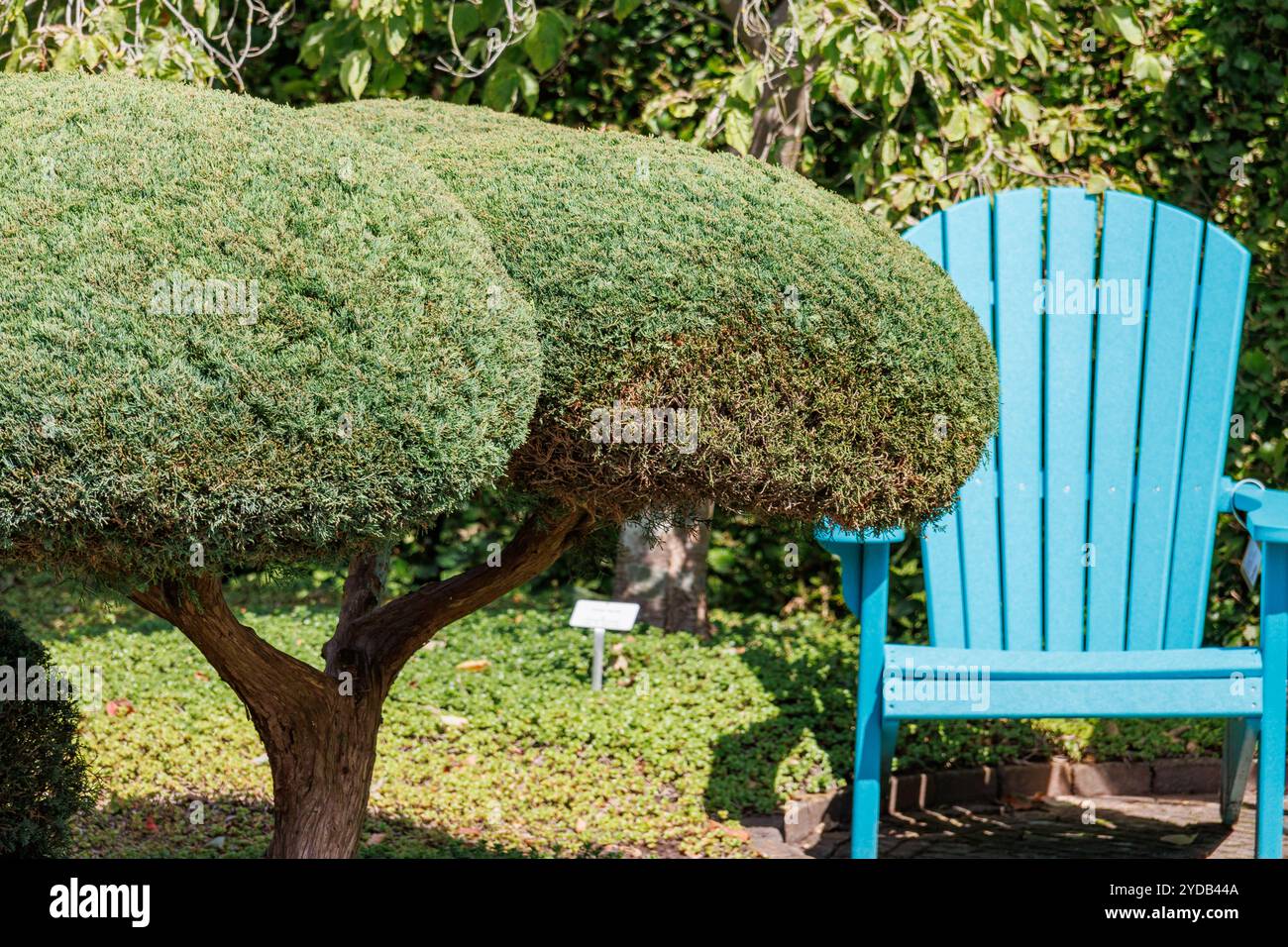 Heure d'été dans un jardin allemand Banque D'Images