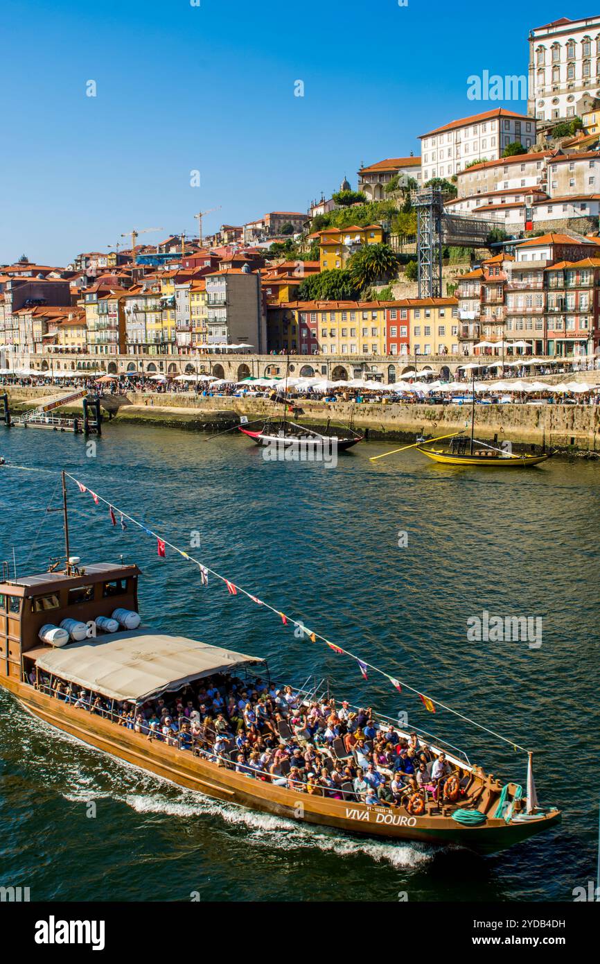 Croisière sur le fleuve Douro, fleuve Douro, Port, Portugal. Banque D'Images