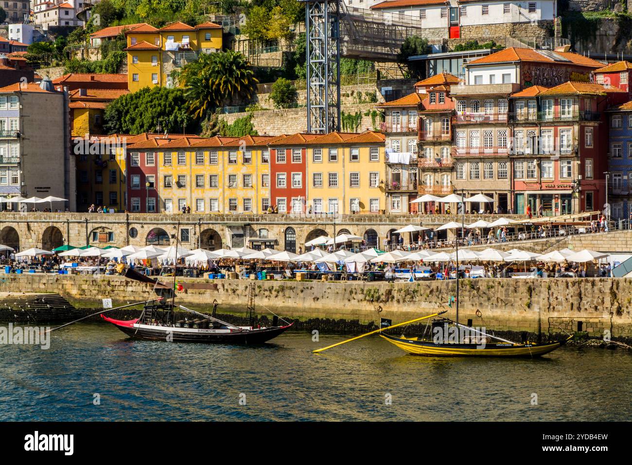 Croisière sur le fleuve Douro, fleuve Douro, Port, Portugal. Banque D'Images