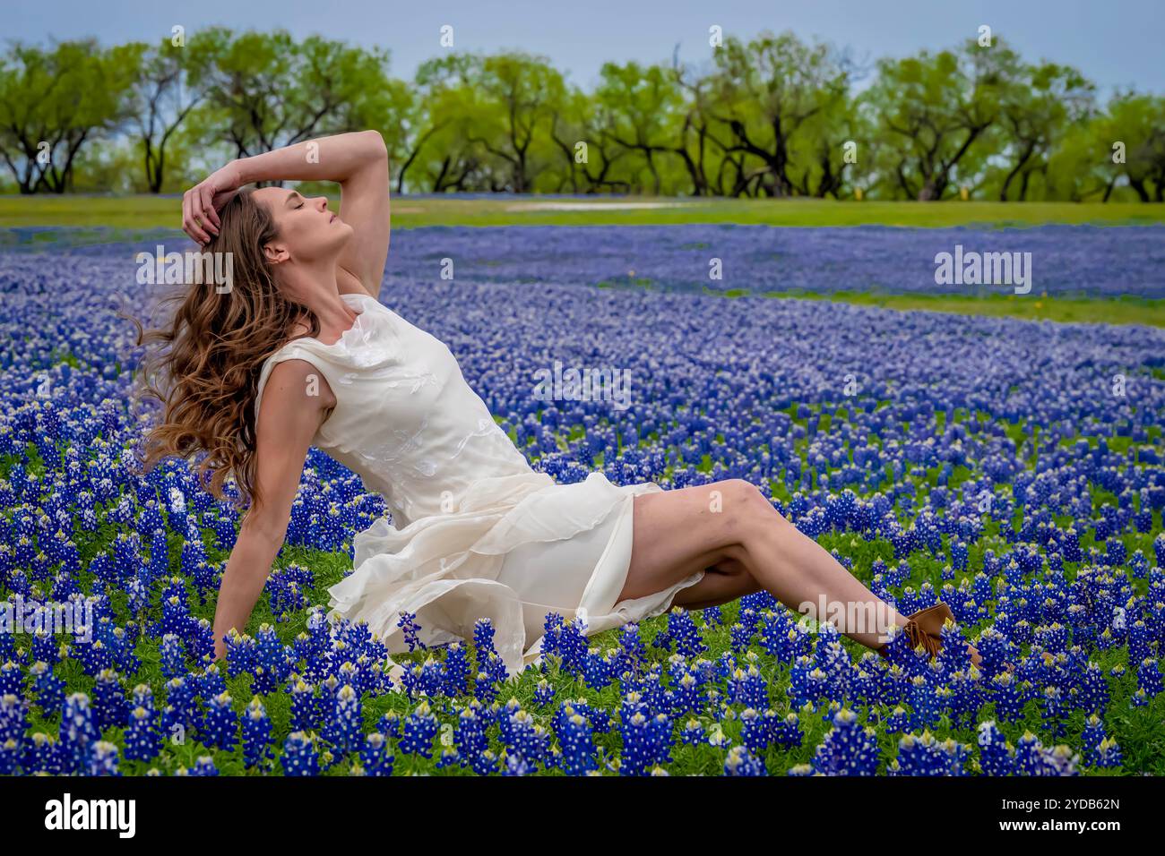 Un beau modèle Brunette pose dans Un champ de fleurs de Bluebonnet dans Un Prarie Texas Banque D'Images