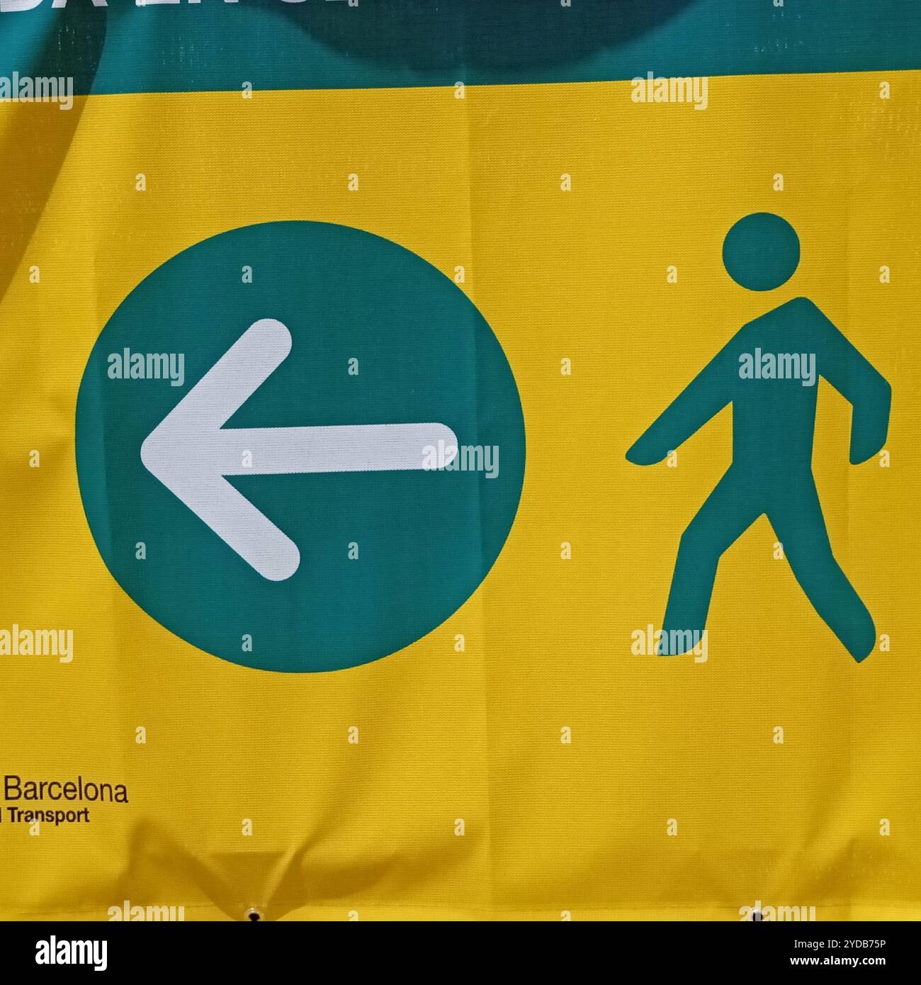 Le corps humain et son anatomie Banque D'Images