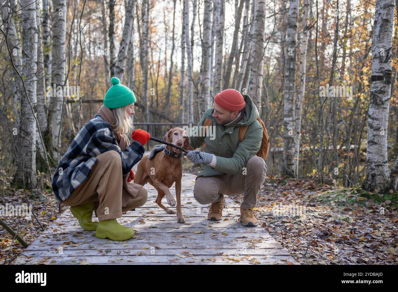 Couple de famille joyeux s'entrainant en jouant avec le chien de chien de chien bien-aimé tout en faisant de la randonnée dans la forêt le jour ensoleillé Banque D'Images
