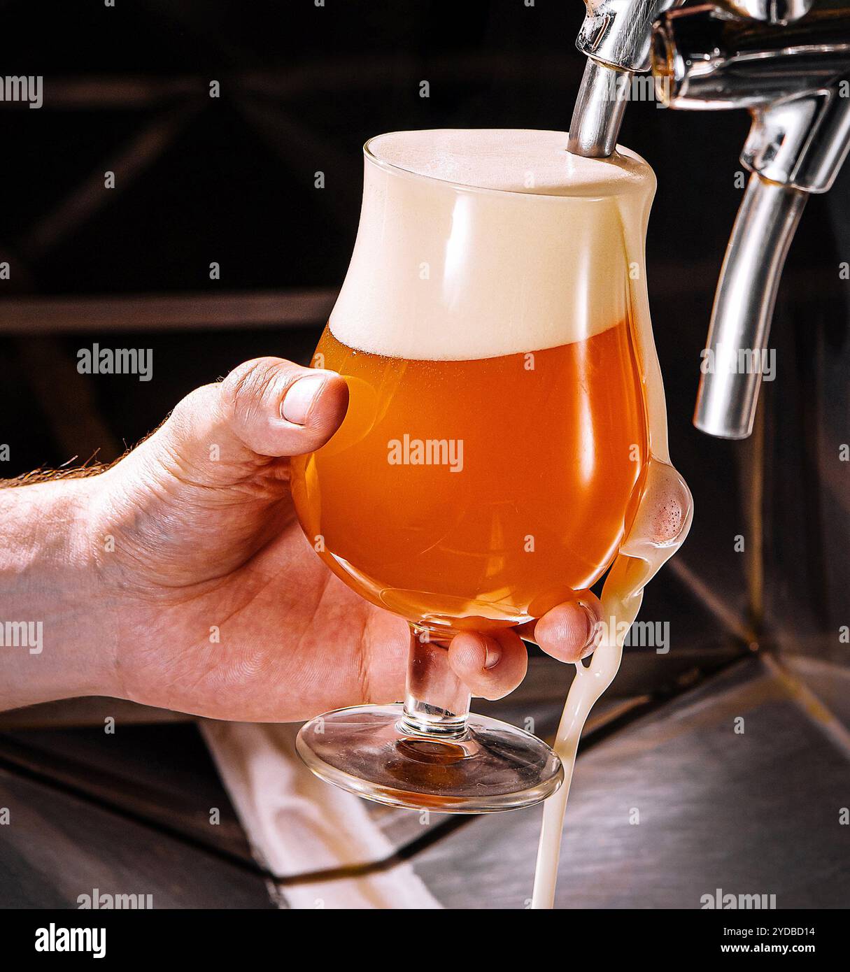 Barman versant de la bière fraîche dans un verre dans un pub Banque D'Images