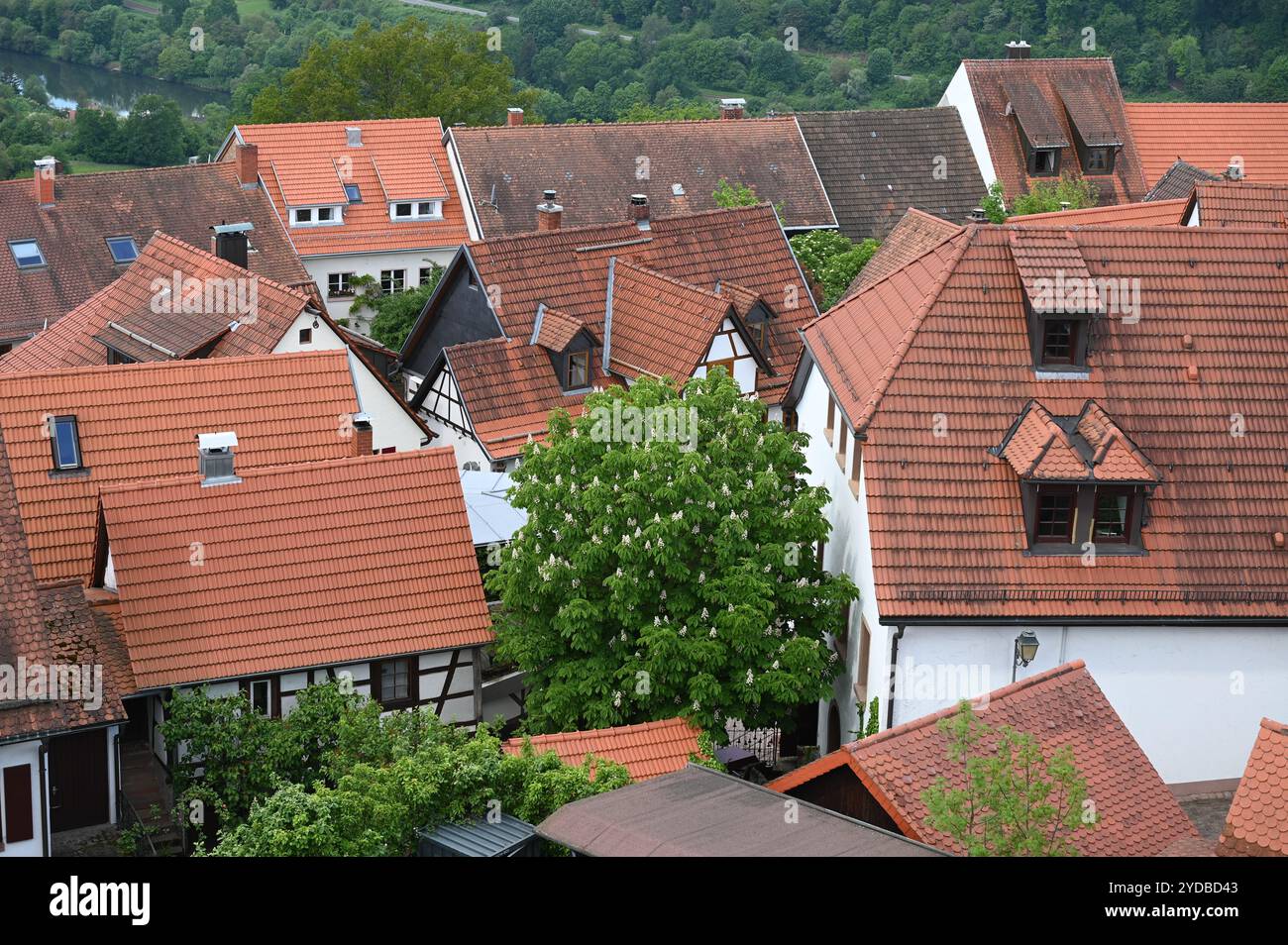 Forteresse de montagne de Dilsberg Banque D'Images