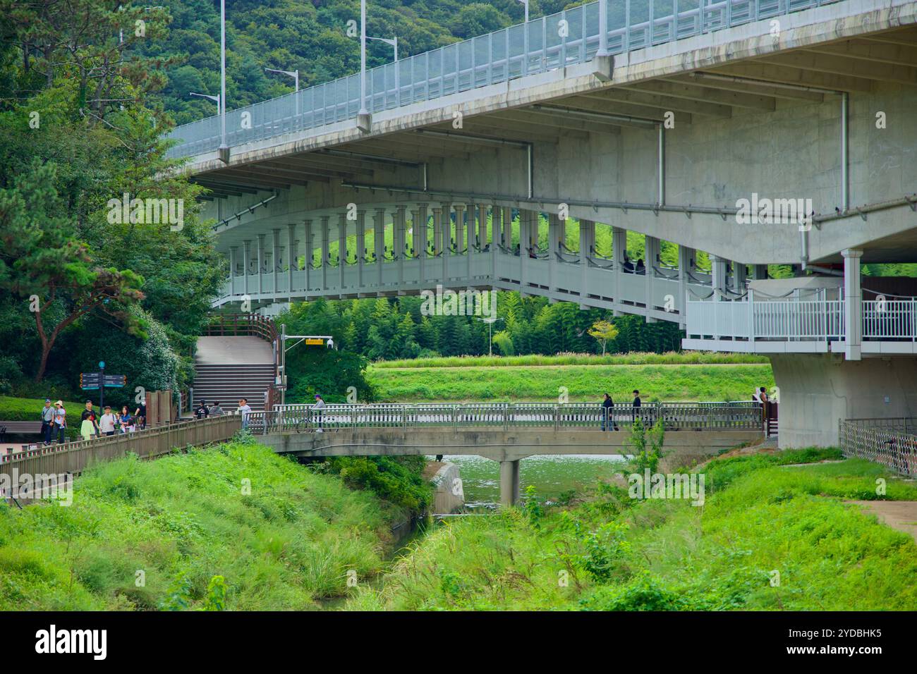 Ulsan, Corée du Sud - 5 octobre 2024 : le pont du jardin national s'étend sur la rivière Taehwa et le jardin national de la rivière Taehwa, avec un piéton Banque D'Images