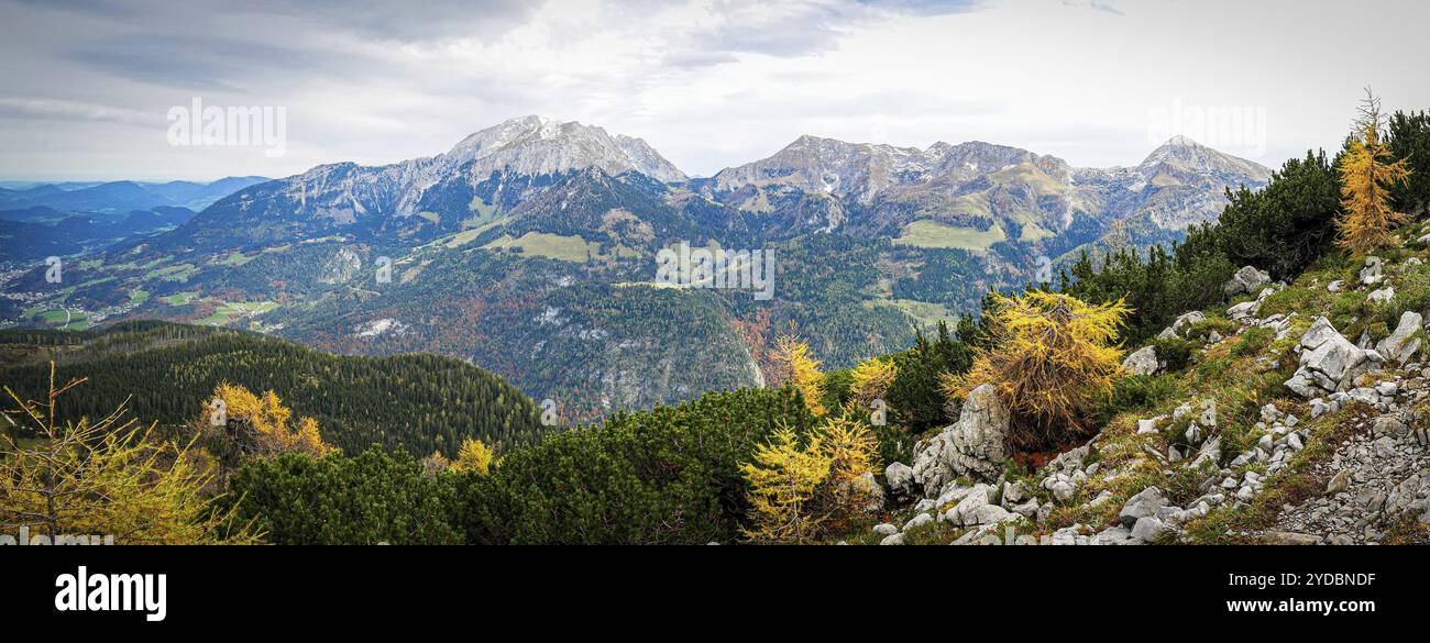 Mélèzes jaunes dans le parc national de Berchtesgaden en automne, vue sur le Hohe Goell, Schneibstein et Kahlersberg, Bavière, Allemagne, Europe Banque D'Images