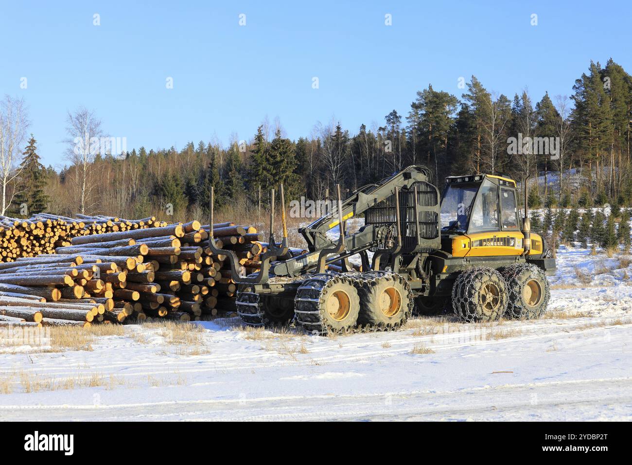 Transporteur forestier Ponsse Wise avec chaînes à neige sur pneus et grumes de pin empilées sur le chantier en hiver. Salo, Finlande. 9 février 2024 Banque D'Images