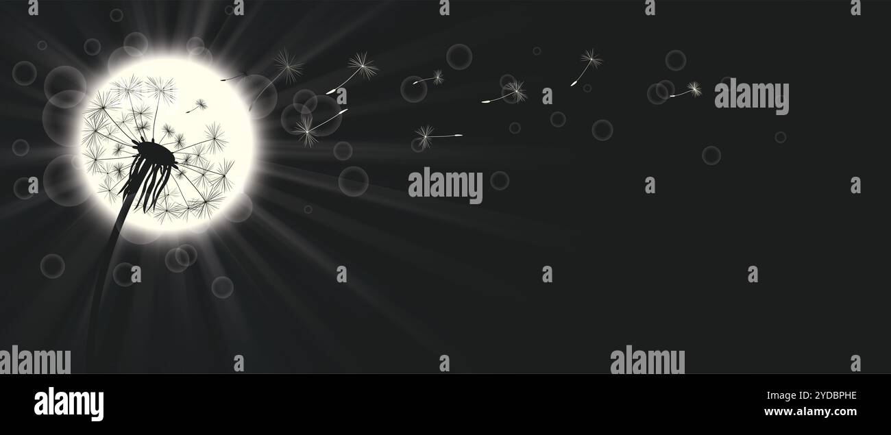 Soleil avec rayon de soleil et pissenlit sur le ciel noir. Fichier vectoriel EPS 10. Banque D'Images