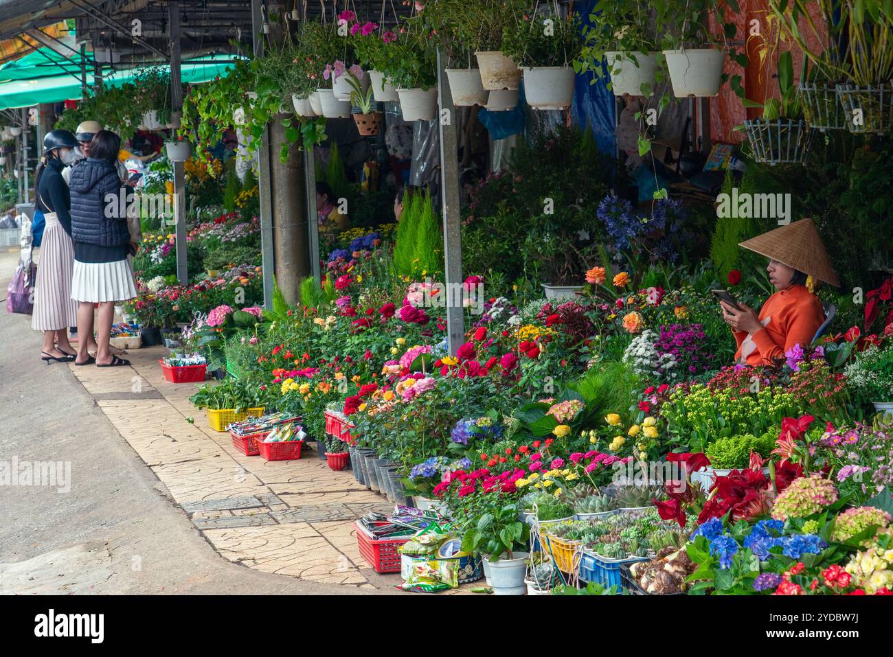 Ce sont des étals de fleurs locales dans le marché aux fleurs, un endroit célèbre dans le centre-ville de Da Lat le 28 mai 2023 à Da Lat, Vietnam Banque D'Images