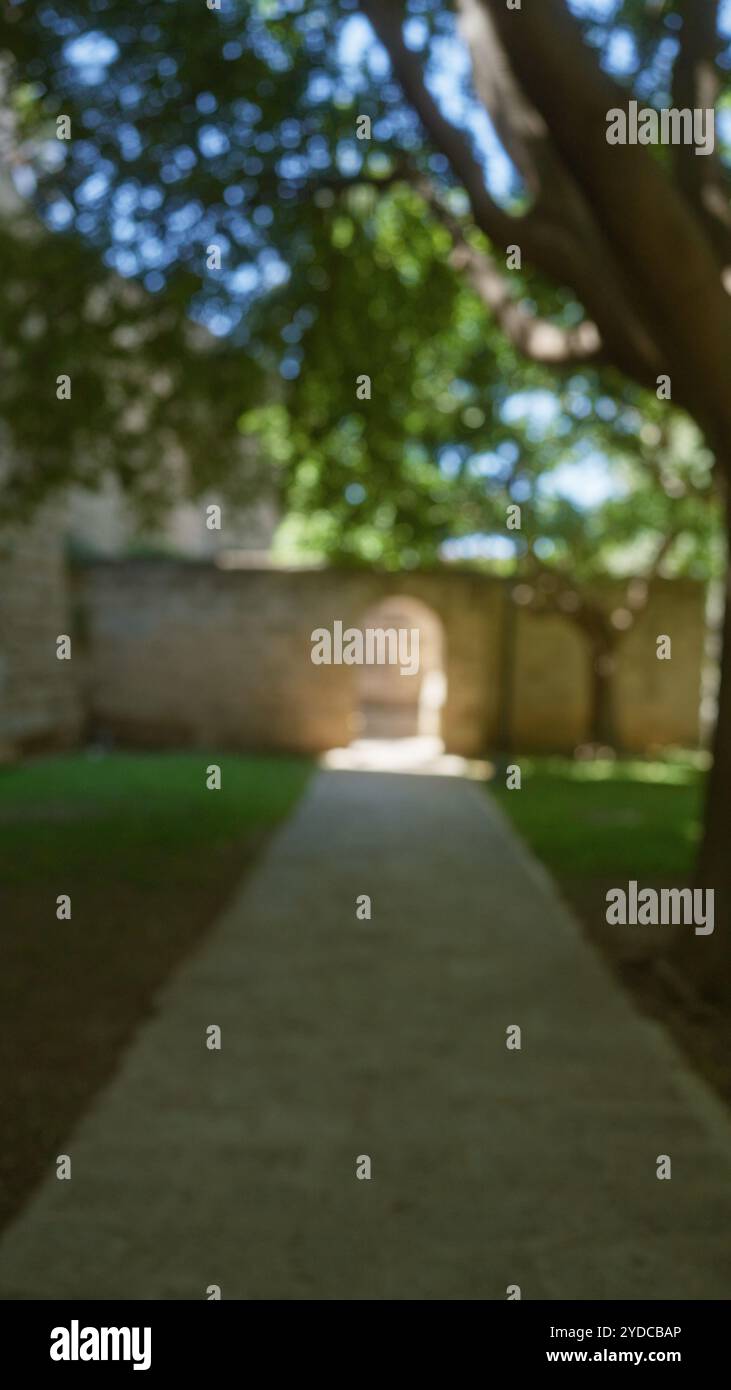 Scène extérieure floue à majorque avec des arbres floues et un chemin créant un arrière-plan bokeh tranquille. Banque D'Images