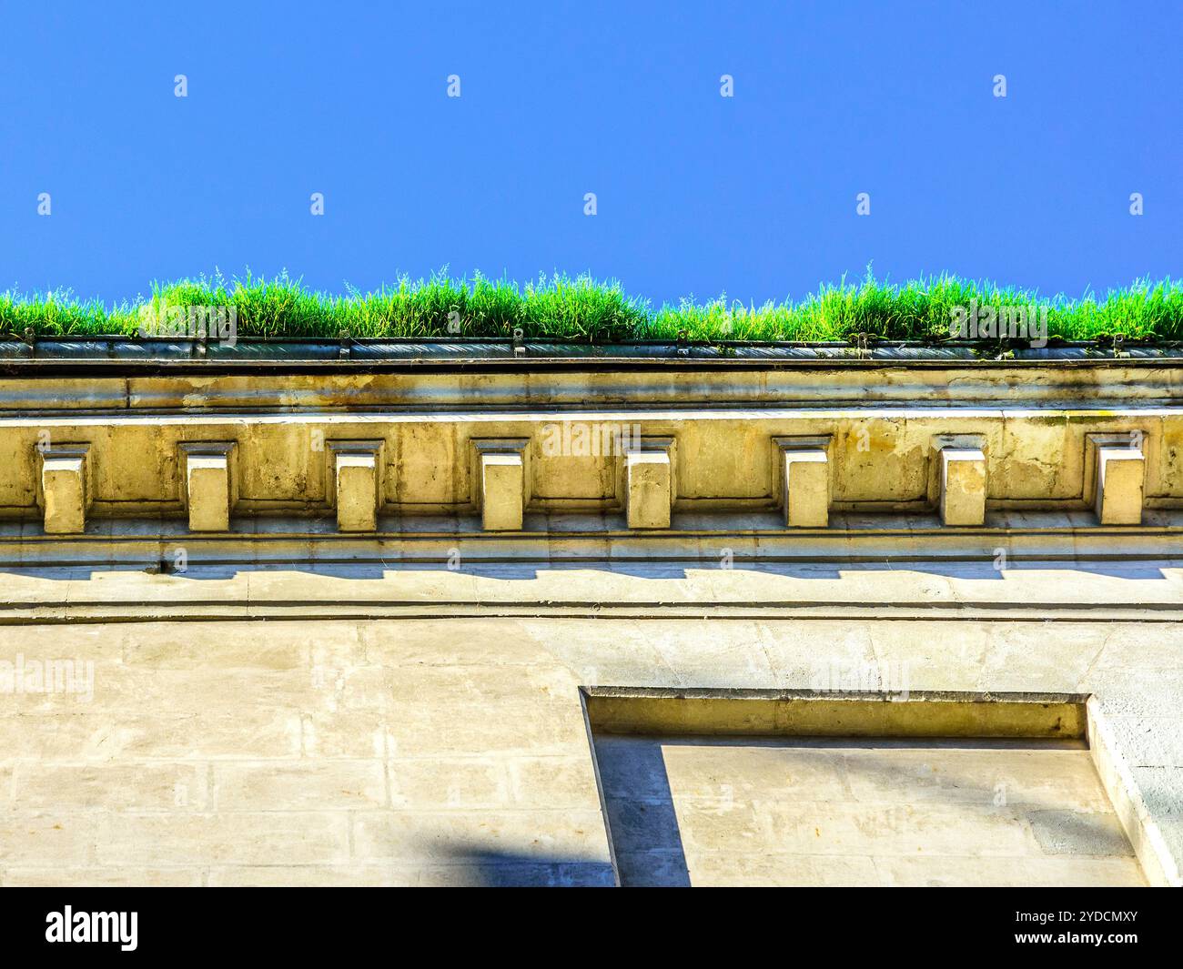 Culture de gazon (sans entretien) à partir de gouttière de toit sur le dessus du bâtiment - Tours, Indre-et-Loire (37), France. Banque D'Images