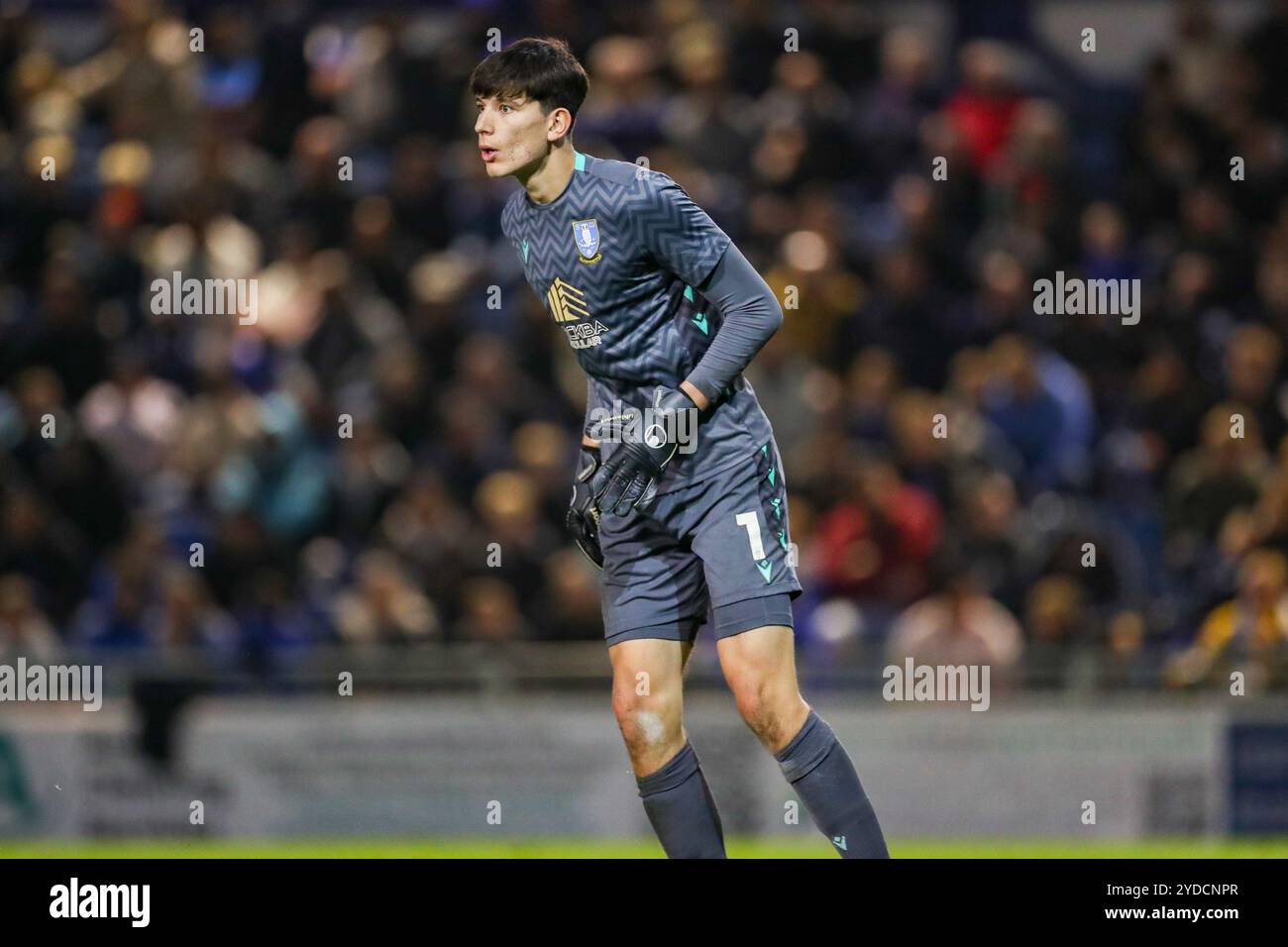 James Beadle, gardien de but de Sheffield mercredi (1) pendant le match Portsmouth FC vs Sheffield mercredi FC Sky Bet EFL Championship à Fratton Park, Portsmouth, Angleterre, Royaume-Uni le 25 octobre 2024 crédit : Every second Media/Alamy Live News Banque D'Images