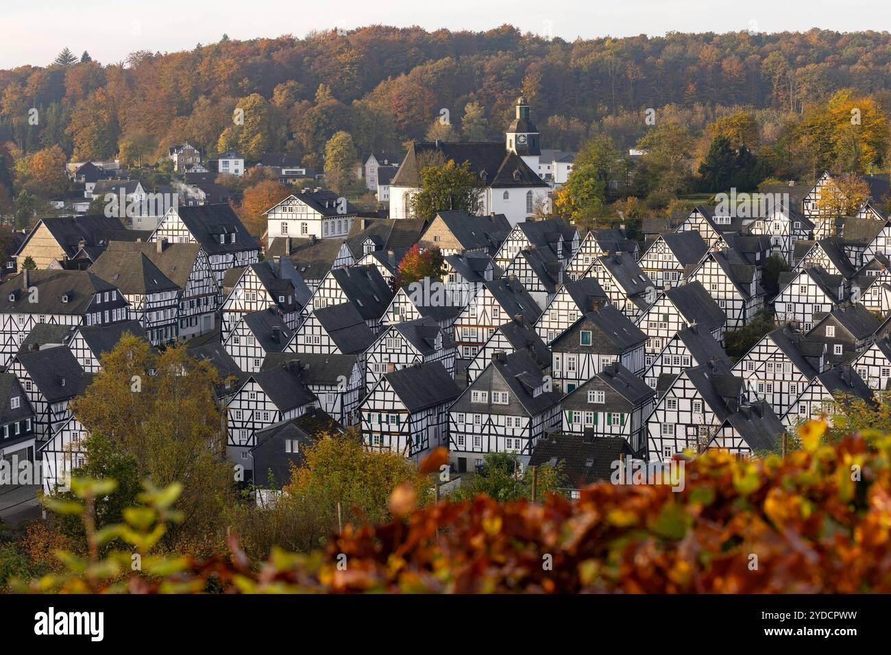 Herbstmorgen im Siegerland. Blick aus dem Kurpark auf die Historische Altstadt von Freudenberg mit ihren Fachwerkhaeusern Fachwerkhäusern. Oberhalb der Altstadt befindet sich die eV Kirche. Herbst im Siegerland AM 26.10.2024 à Freudenberg/Deutschland. *** Matin d'automne à Siegerland vue des jardins thermaux à la vieille ville historique de Freudenberg avec ses maisons à colombages au-dessus de la vieille ville est l'église EV automne à Siegerland sur 26 10 2024 à Freudenberg Allemagne Banque D'Images