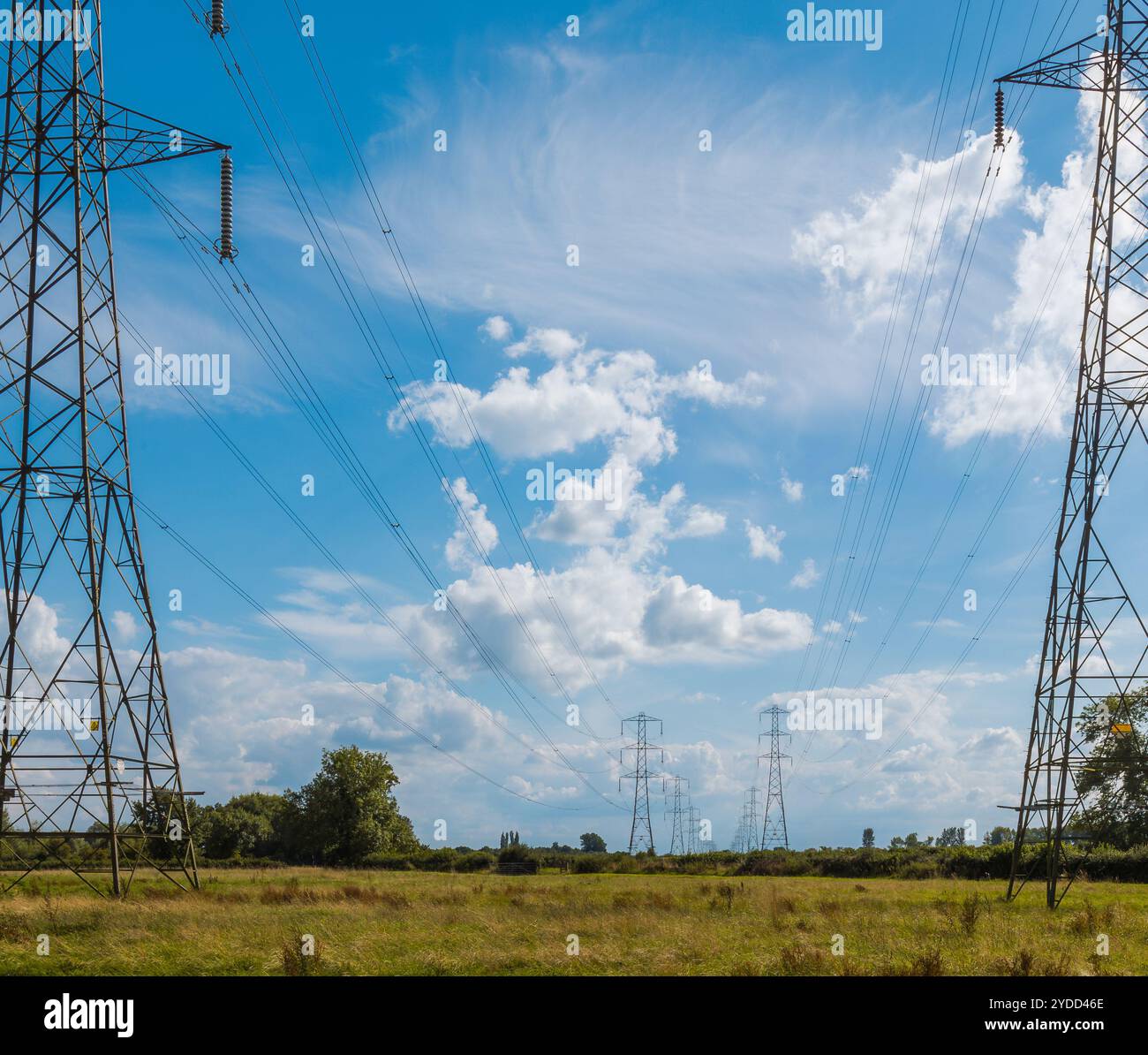 Une rangée reculée de pylônes électriques le long du chemin de la Tamise dans le Gloucestershire Banque D'Images