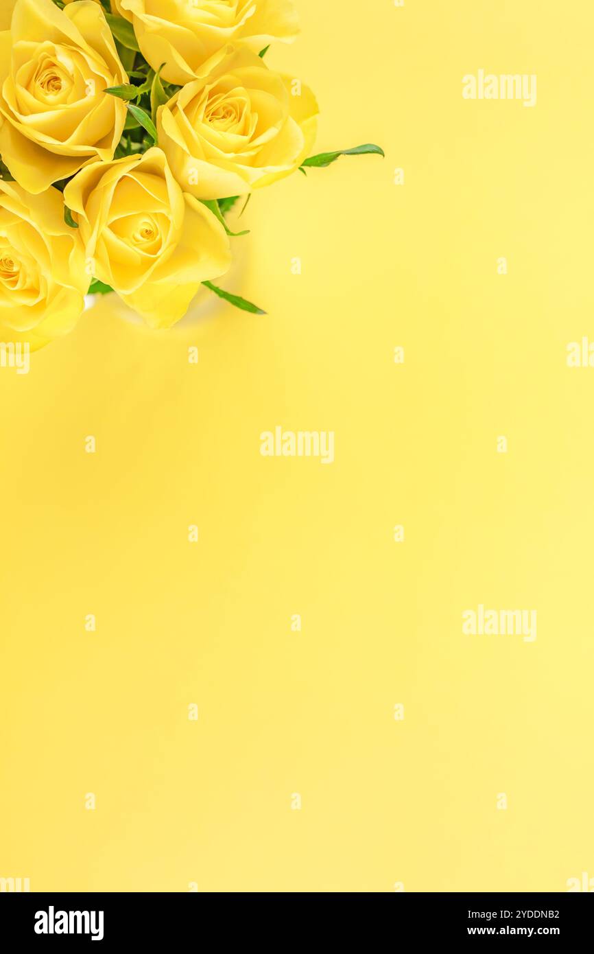 Bouquet de roses jaunes fraîches Banque D'Images