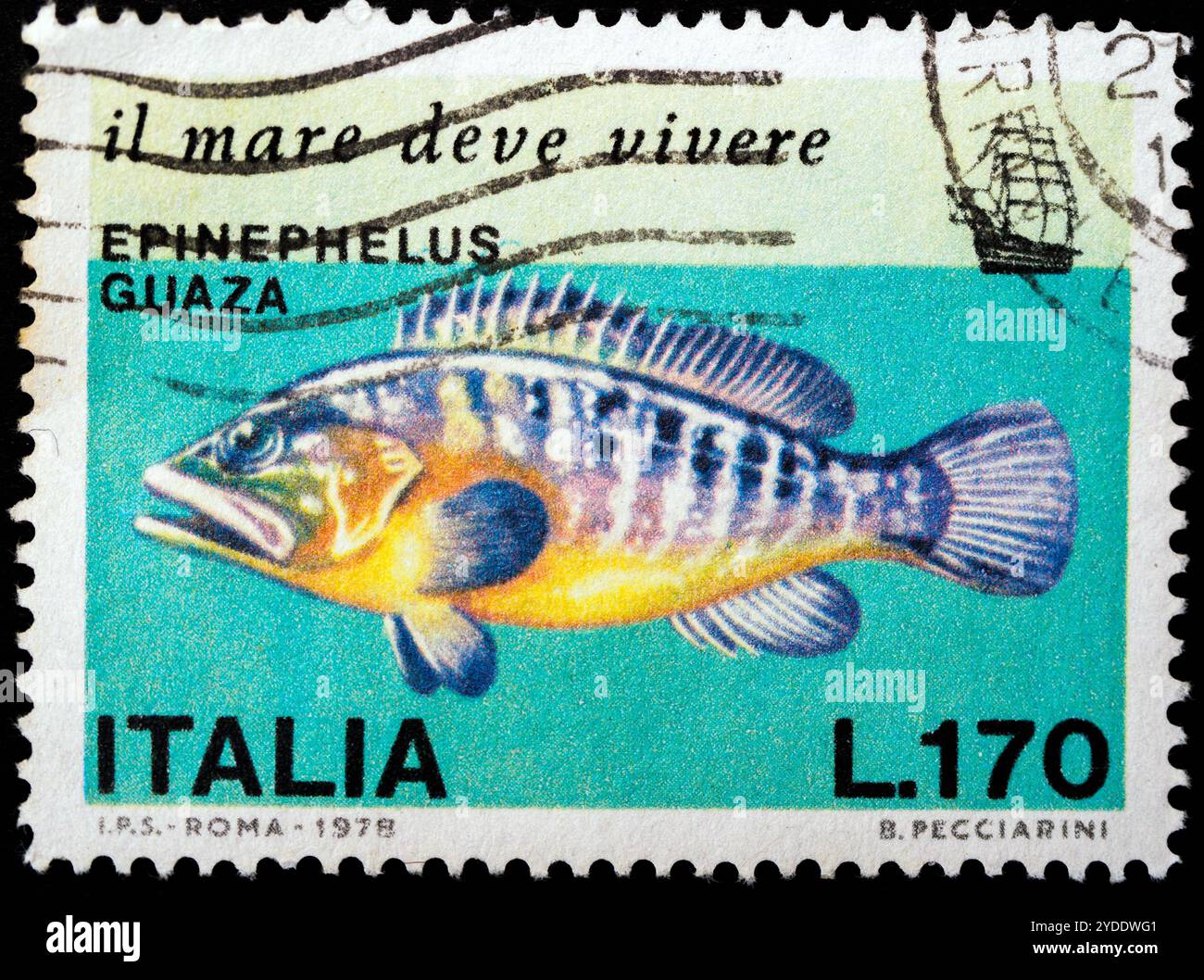 Groupeur illustration - protection de la mer série 1978 - timbre-poste italien Banque D'Images