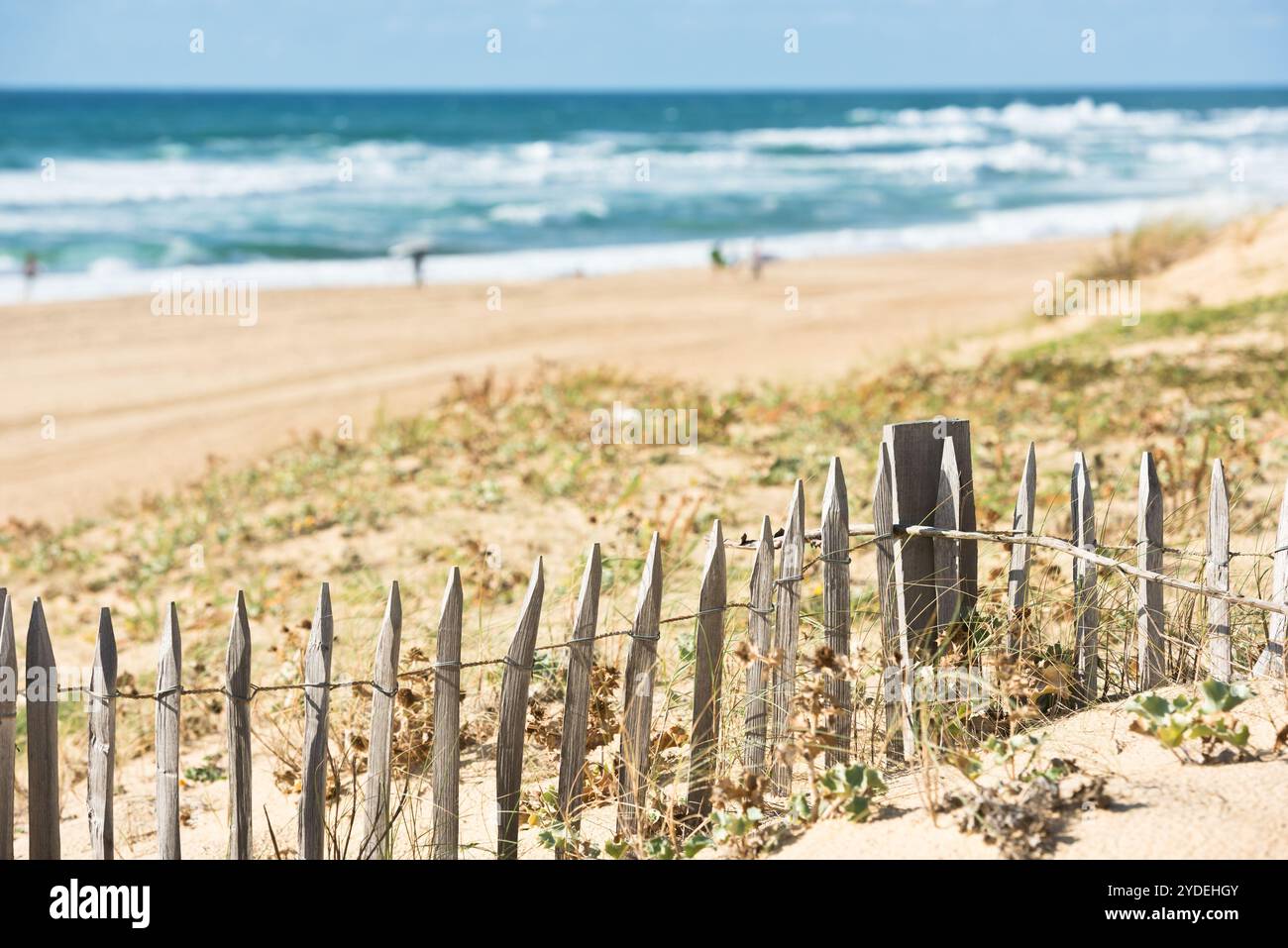 Clôture en bois sur la plage de l'Atlantique en France Banque D'Images