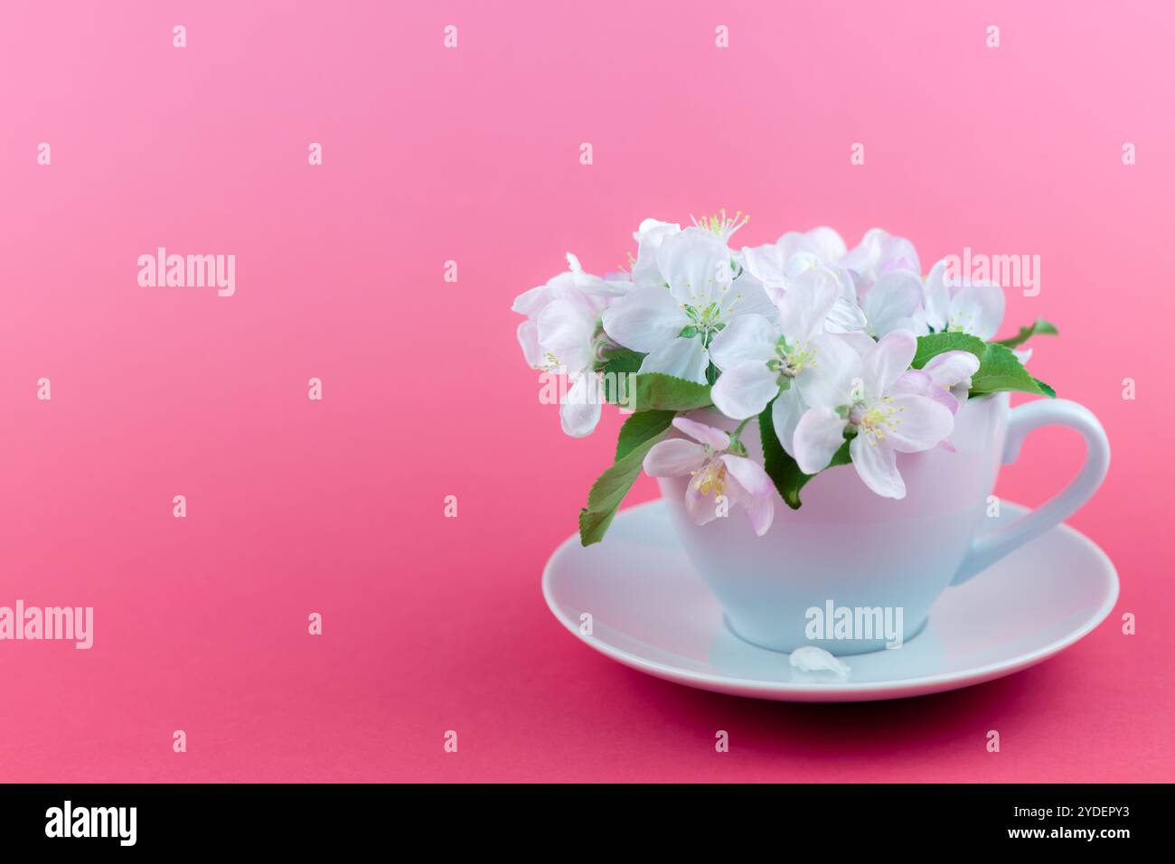 Pommier de printemps blanc fleurissant des fleurs dans une tasse Banque D'Images