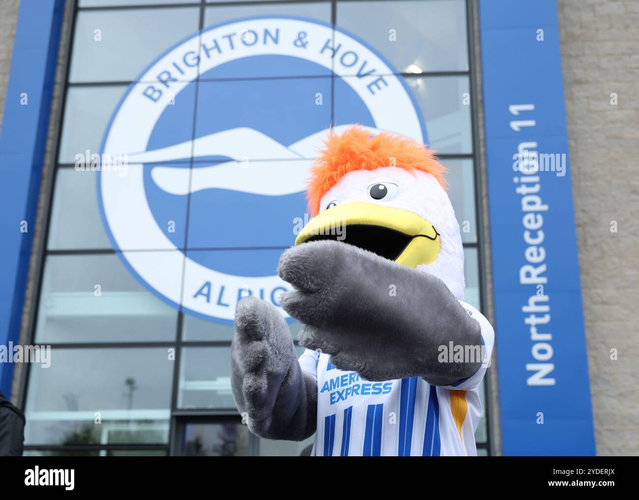 Brighton et Hove, Royaume-Uni. 26 octobre 2024. La mascotte de Brighton devant le stade avant le match de premier League à l'AMEX Stadium, Brighton et Hove. Le crédit photo devrait se lire : Paul Terry/Sportimage crédit : Sportimage Ltd/Alamy Live News Banque D'Images