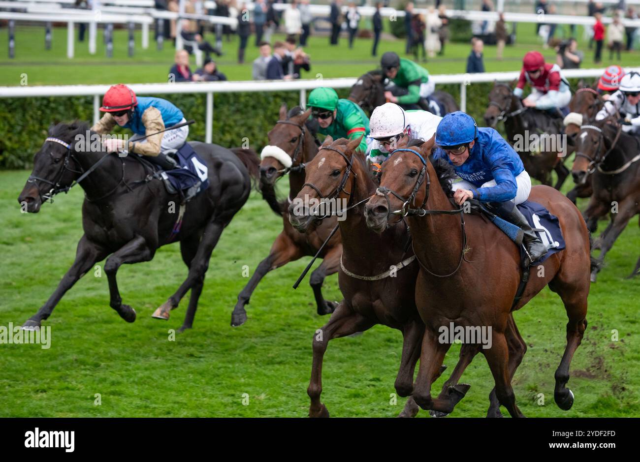 Doncaster, Royaume-Uni. Samedi 26 octobre 2024. Cover Up et William Buick remportent le prix Join Century Racing Club Today handicap Stakes pour l'entraîneur John et Thady Gosden et les propriétaires Godolphin. Crédit JTW Equine images / Alamy Live News Banque D'Images