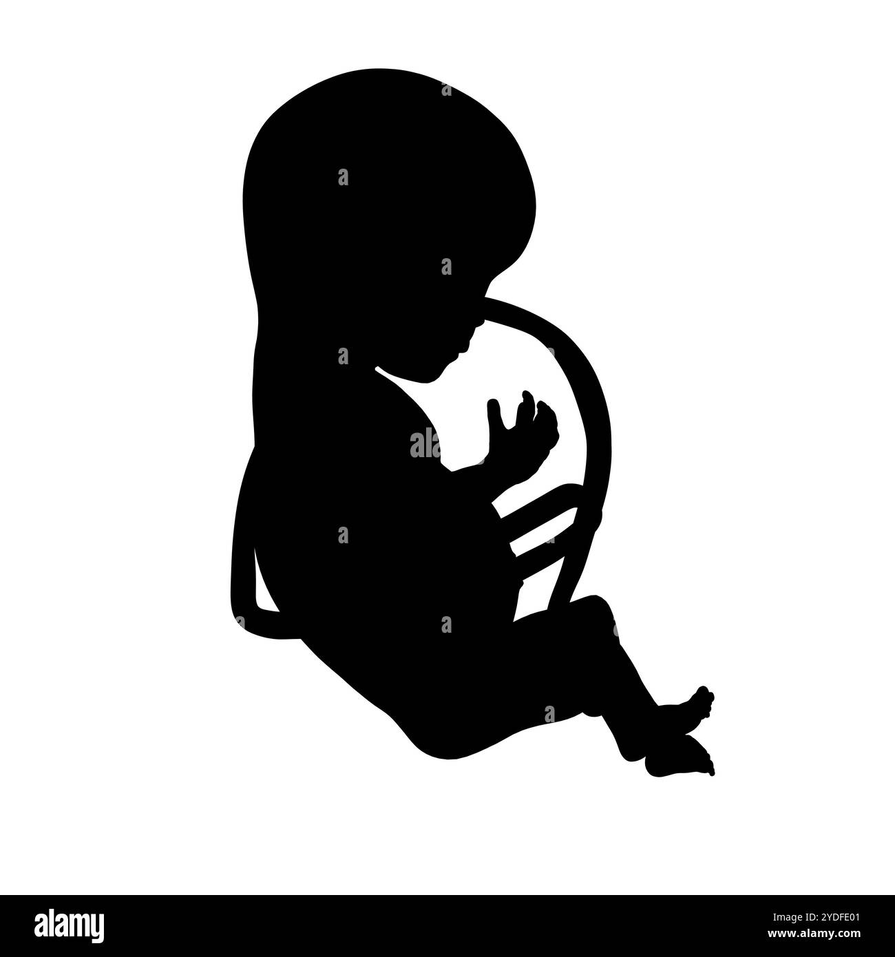 Silhouette de l'icône graphique du fœtus. Signe de silhouette humaine embryonnaire isolé sur fond blanc. Illustration vectorielle Illustration de Vecteur