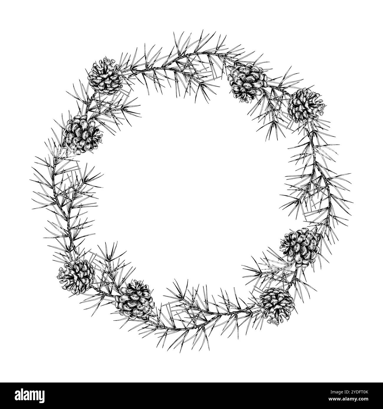 Couronne vectorielle dessinée à la main détaillée de branches et de cônes de pin. Cadre circulaire. Idéal pour les conceptions de vacances de Noël, les thèmes d'hiver, les invitations et Illustration de Vecteur