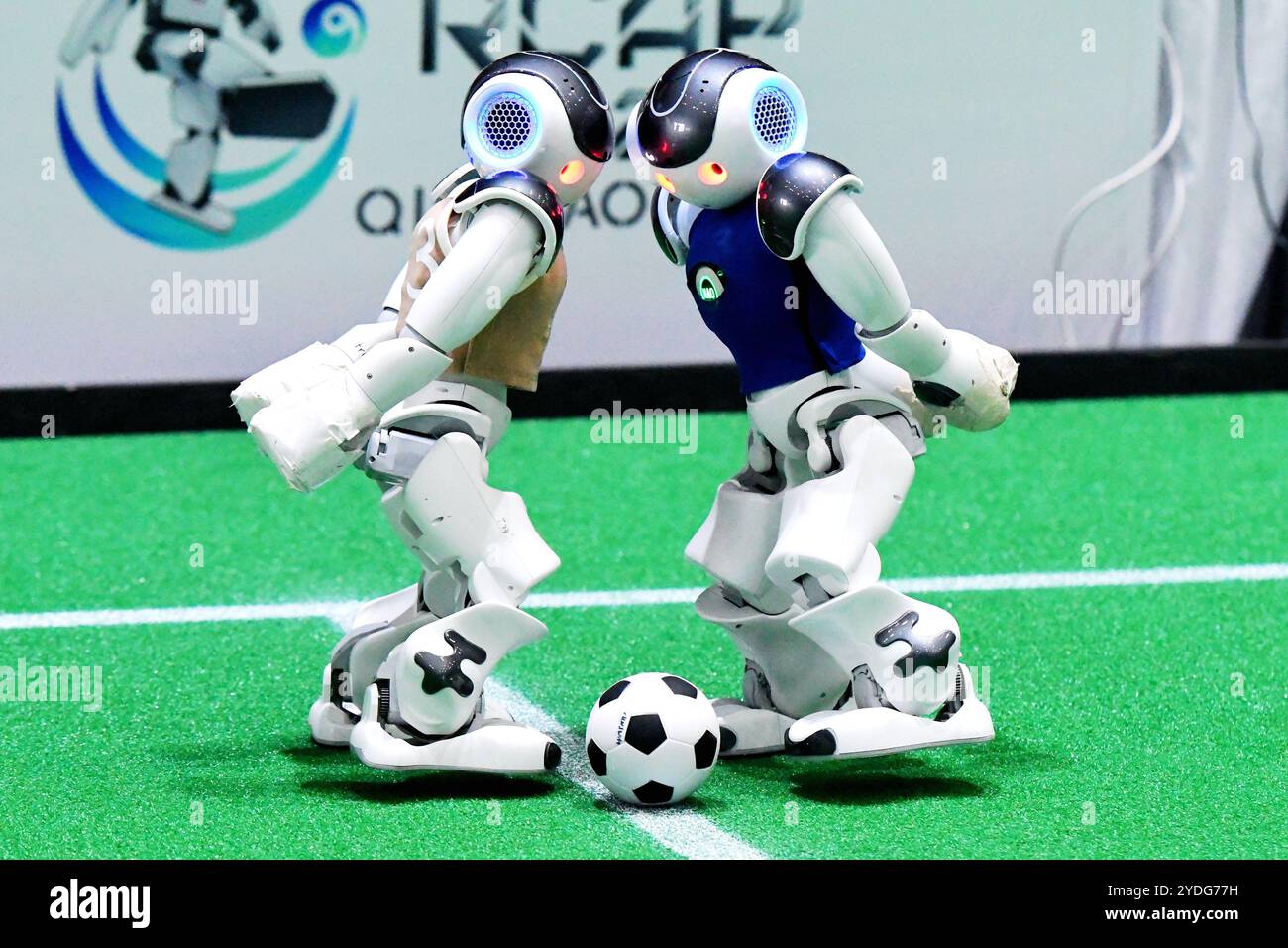 Qingdao, province chinoise du Shandong. 26 octobre 2024. Les robots footballeurs concourent lors de la RoboCup Asia-Pacific 2024 à Qingdao, dans la province du Shandong de l'est de la Chine, Oct. 26, 2024. Plus de 200 équipes de plus de 20 pays et régions ont participé à cette compétition. Crédit : Yu Fangping/Xinhua/Alamy Live News Banque D'Images