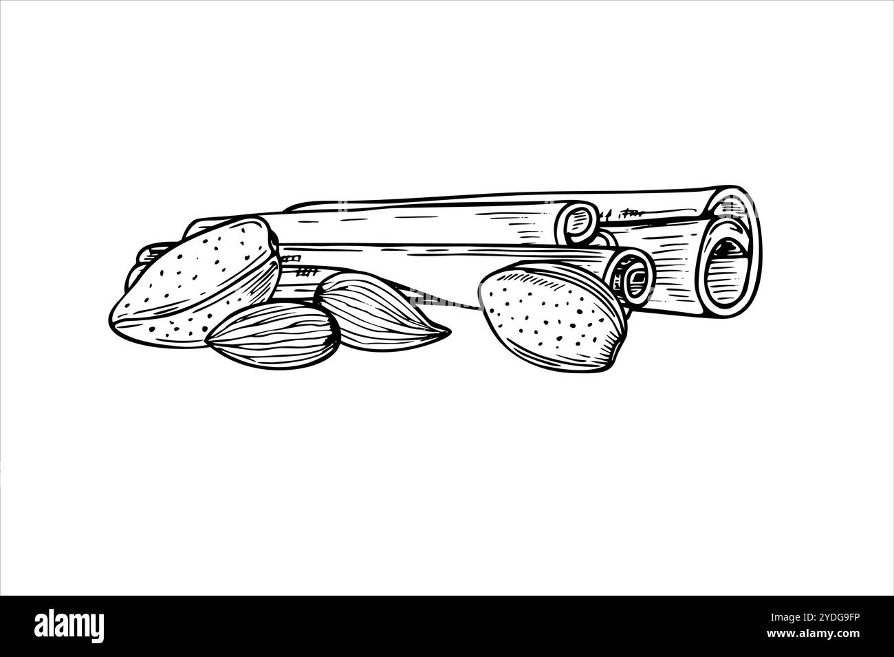 Graines d'amande et bâtons de cannelle pile vecteur illustration isolée dans les couleurs noir et blanc. Noix avec des ingrédients d'assaisonnement illustration monochrome Illustration de Vecteur