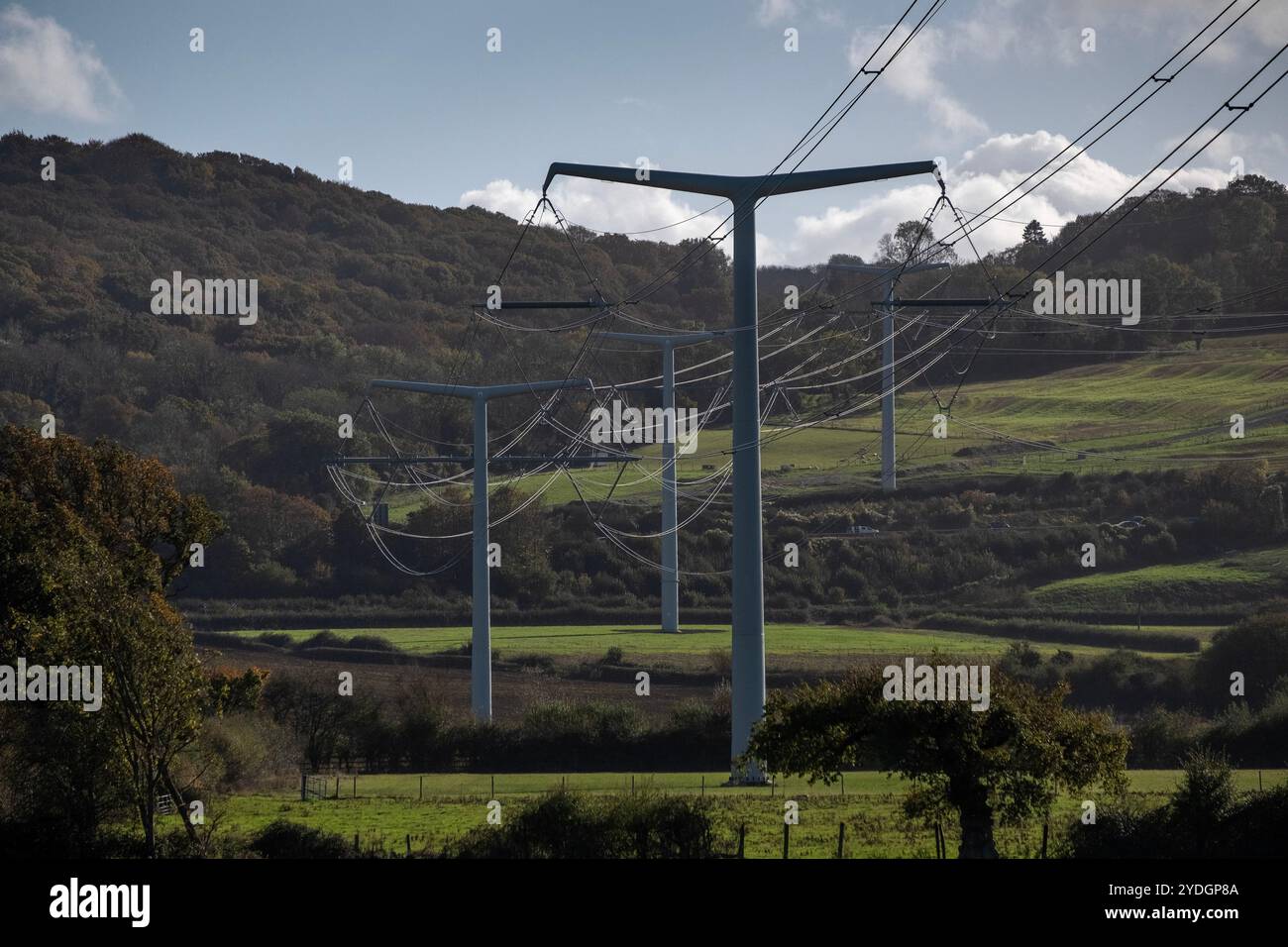 Les T-pylônes près de Portbury, Somerset, amènent l'électricité de Hinckley point à Severrnside. Banque D'Images