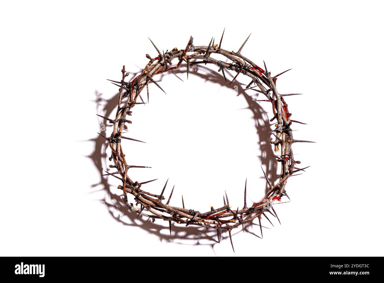 Couronne d'épines isolées sur fond blanc, espace de copie. Concept chrétien de souffrance. Passion de Jésus-Christ. Vendredi Saint et Pâques. Banque D'Images