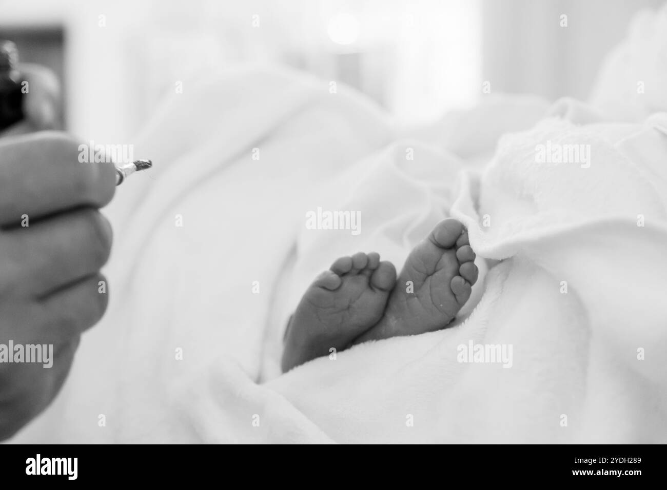 Petits pieds du nouveau-né enveloppés dans une couverture blanche douce. Banque D'Images