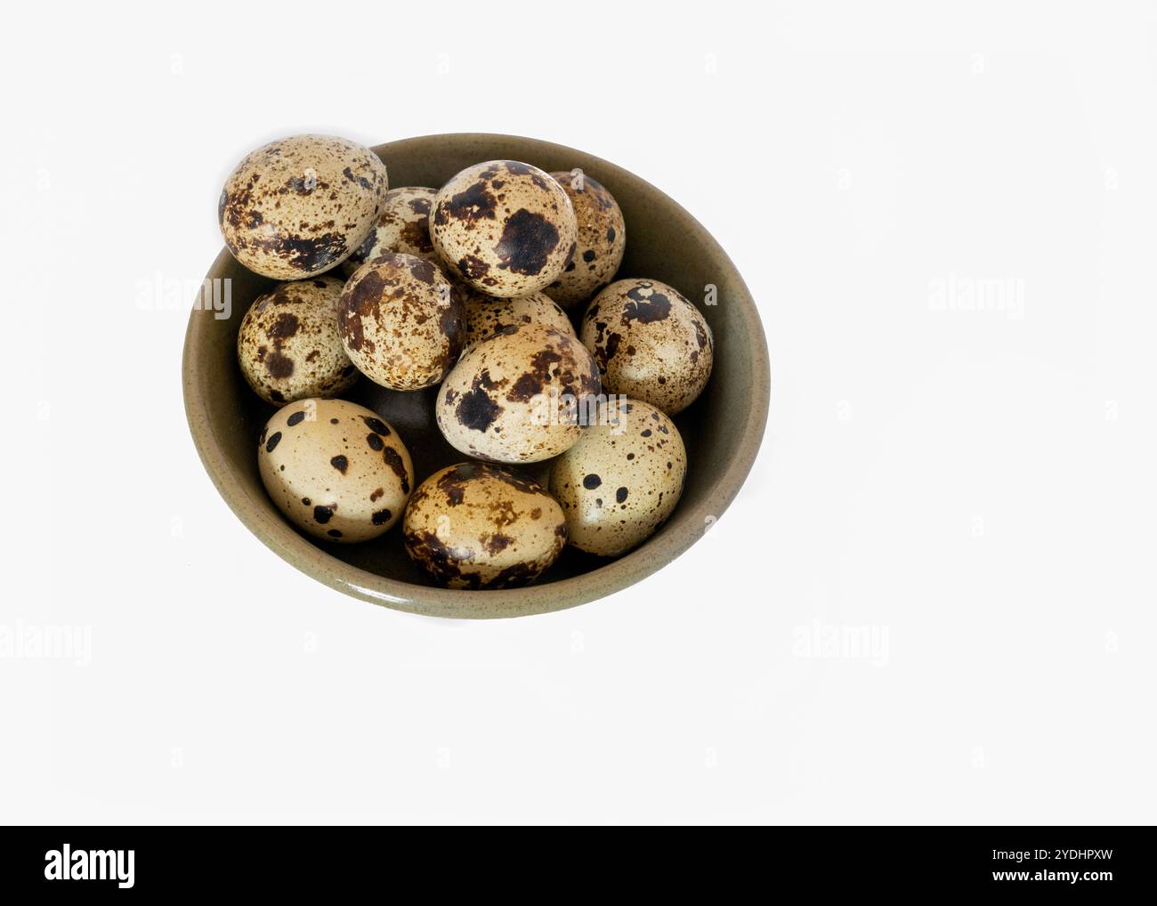 bol en céramique rempli d'œufs de caille mouchetés, chacun présentant un motif unique de taches brunes. Les œufs reposent sur un fond blanc propre, Banque D'Images
