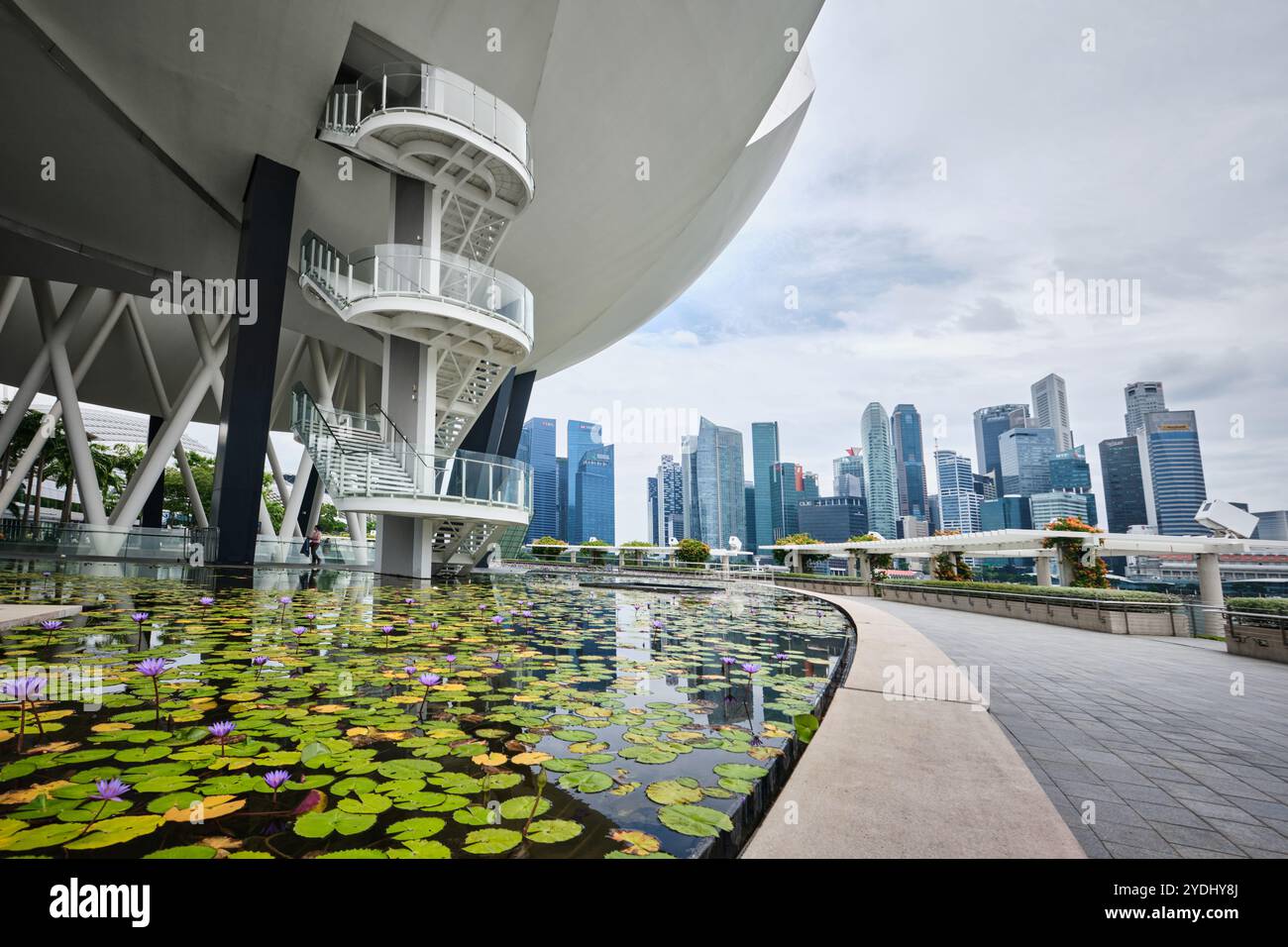 Singapour - 14 août 2024 : étang de lis sous le musée des sciences de l'art en forme de Lotus et la ligne d'horizon de la ville. Près de Marina Bay Sands Banque D'Images