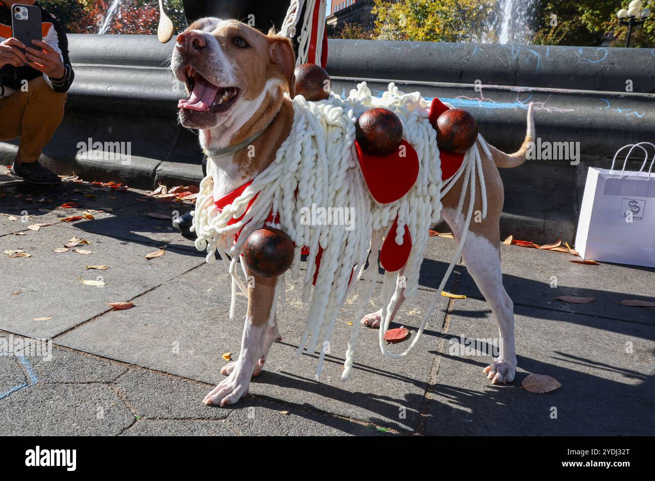 Ce chien est habillé comme des spaghettis et des boulettes de viande au Washington Square Park Halloween Dog Parade à New York, New York, samedi 26 octobre 2024. Banque D'Images