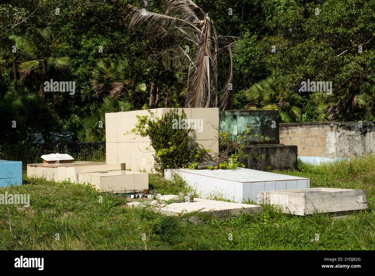 Un cimetière à Hopkins, Belize Banque D'Images